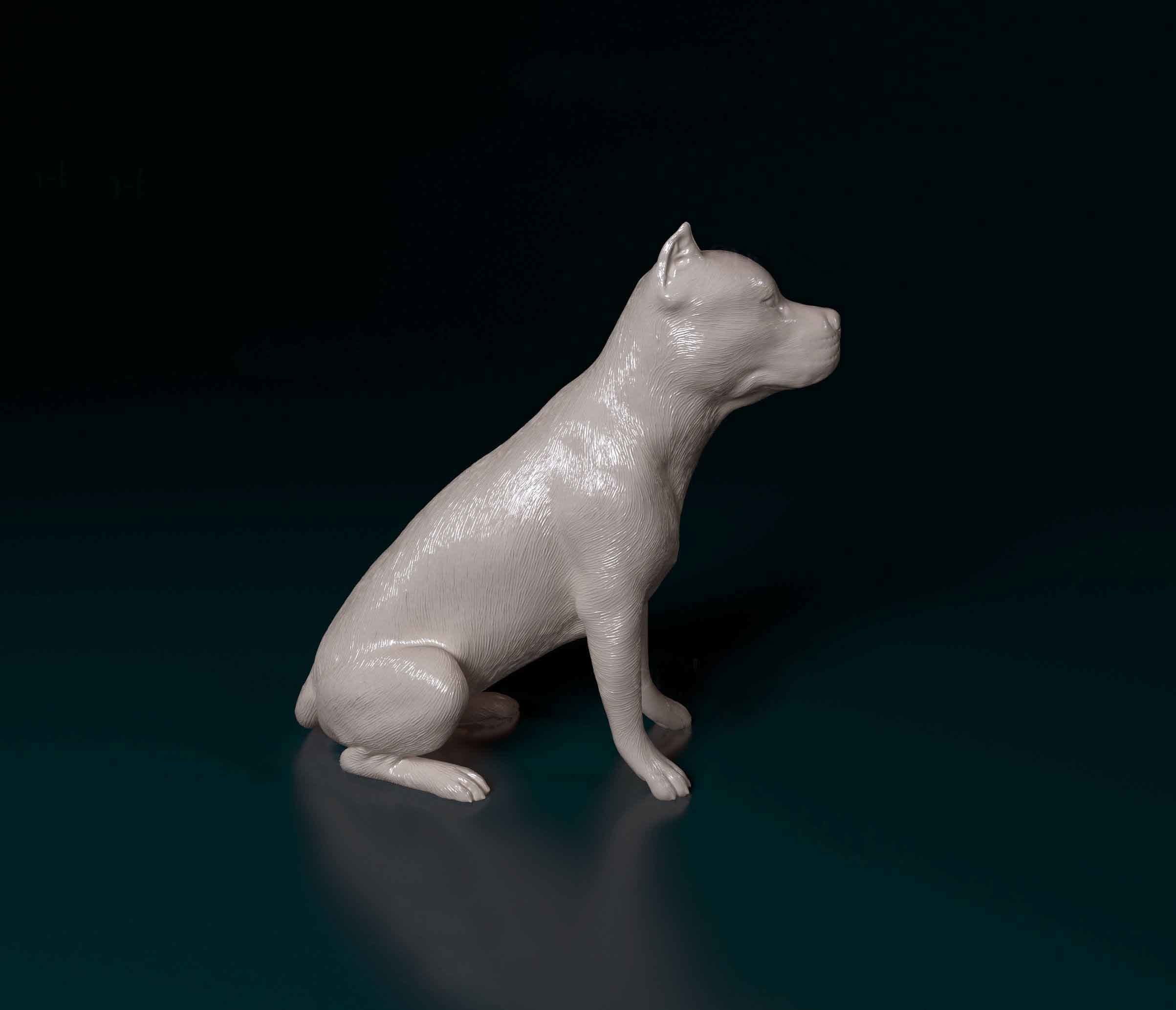 Pitbull female dog 3D print model_1