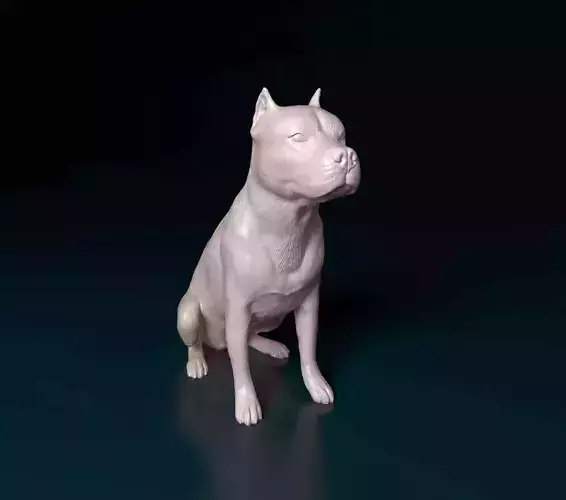 Pitbull female dog 3D print model