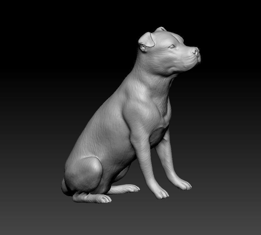Pitbull female dog 3D print model_7