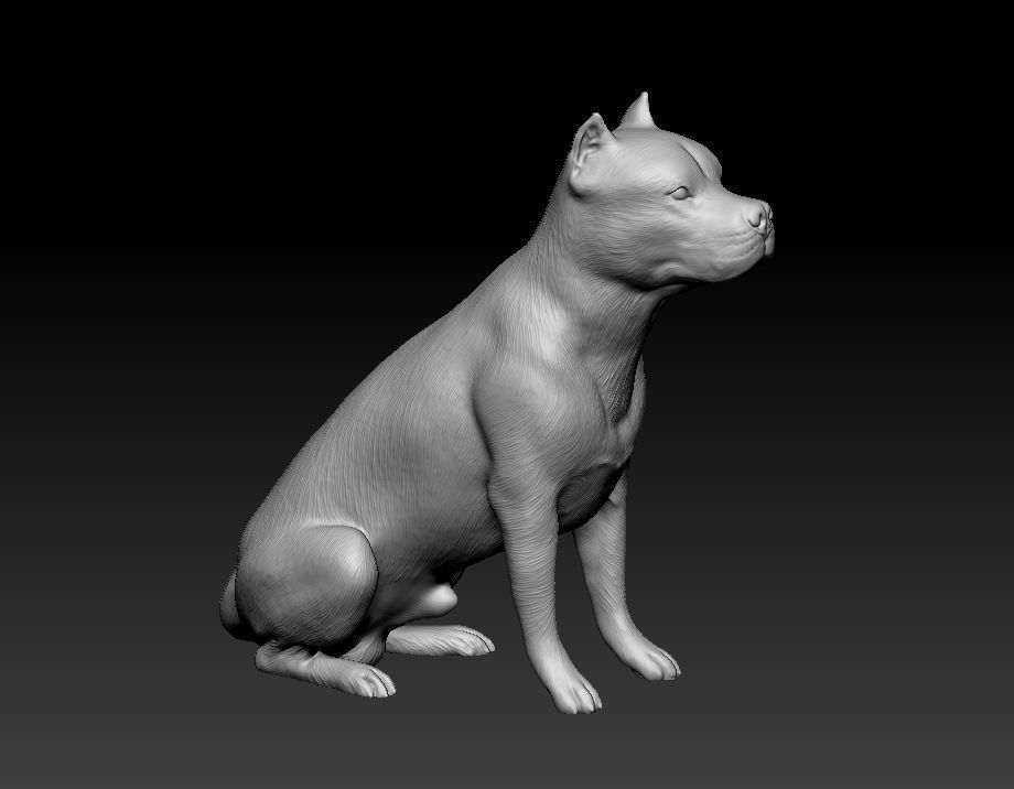 Pitbull female dog 3D print model_11