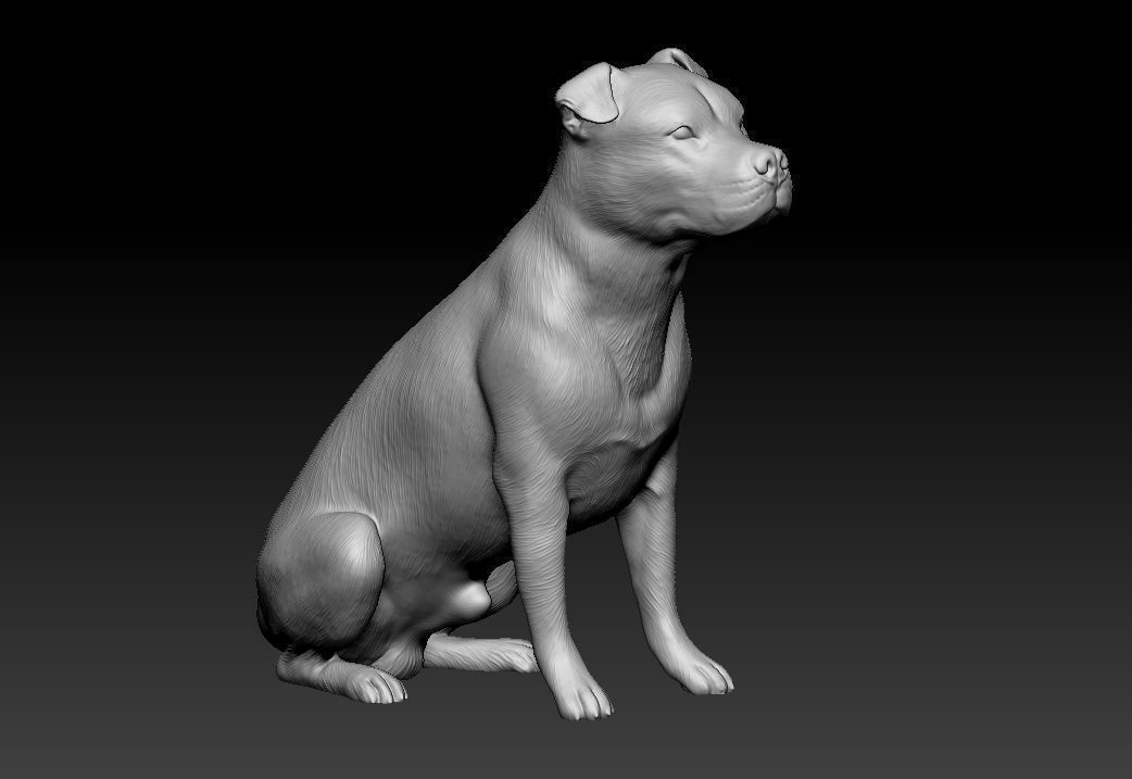 Pitbull female dog 3D print model_12