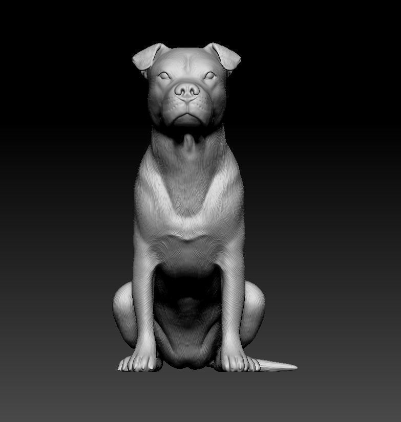 Pitbull female dog 3D print model_9