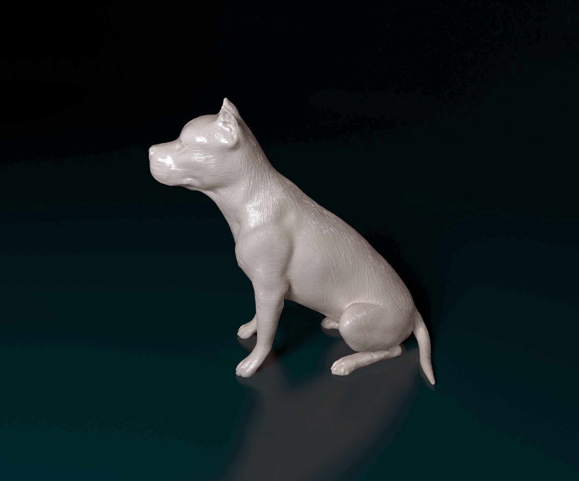 Pitbull female dog 3D print model_3