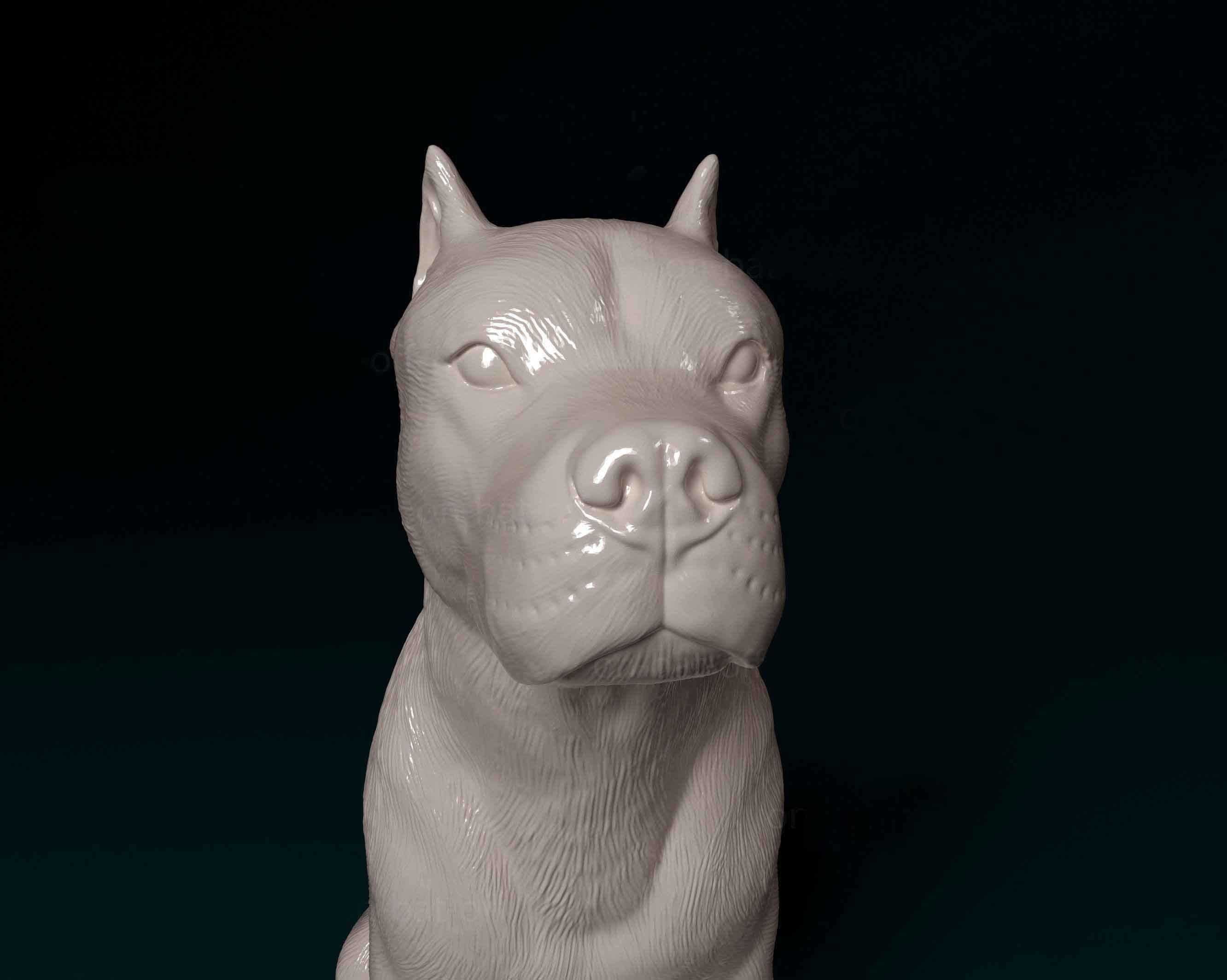 Pitbull female dog 3D print model_5
