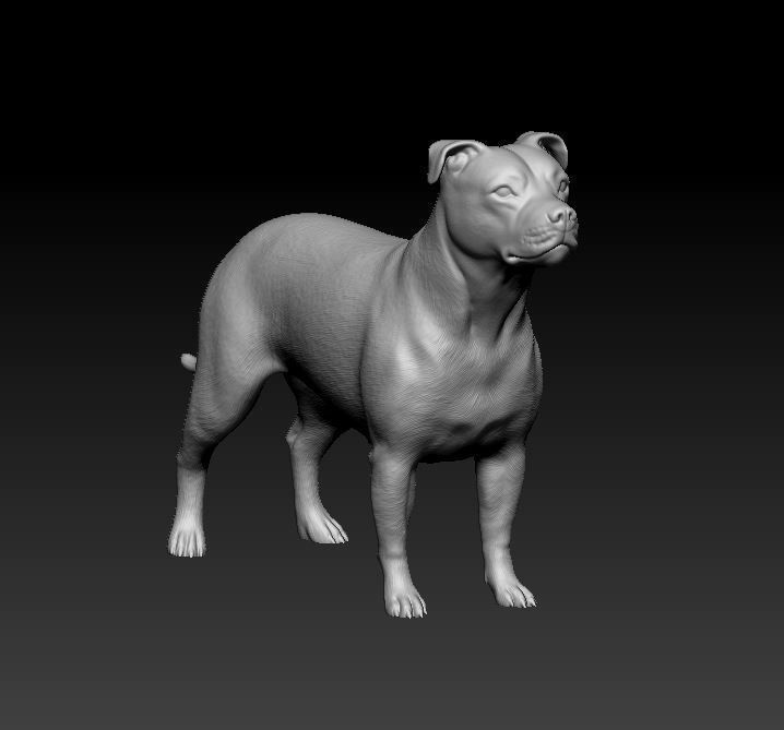 Pitbull dog 3D print model_7