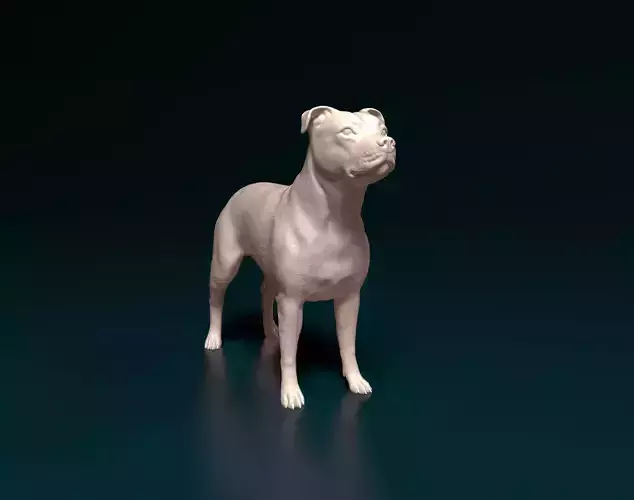 Pitbull dog 3D print model
