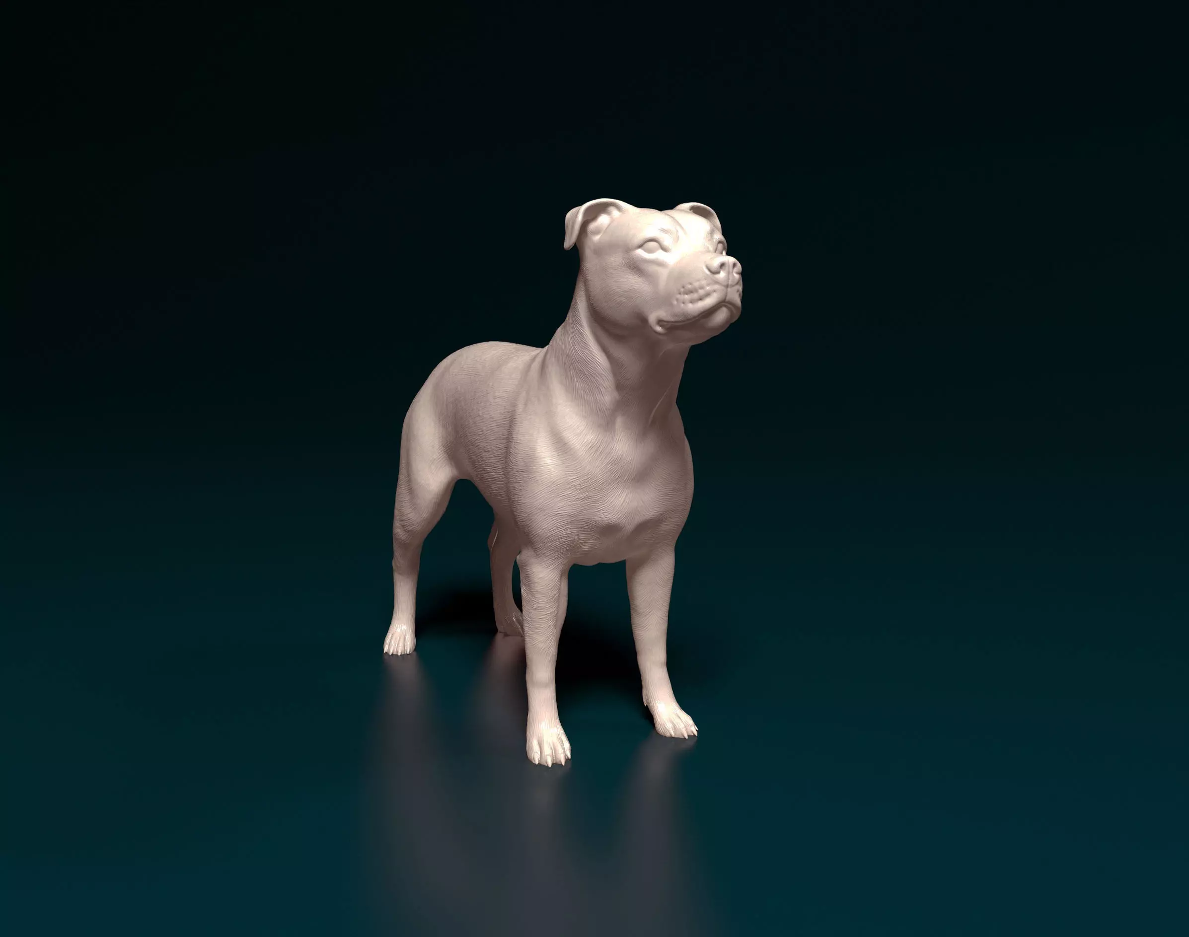 Pitbull dog 3D print model_0