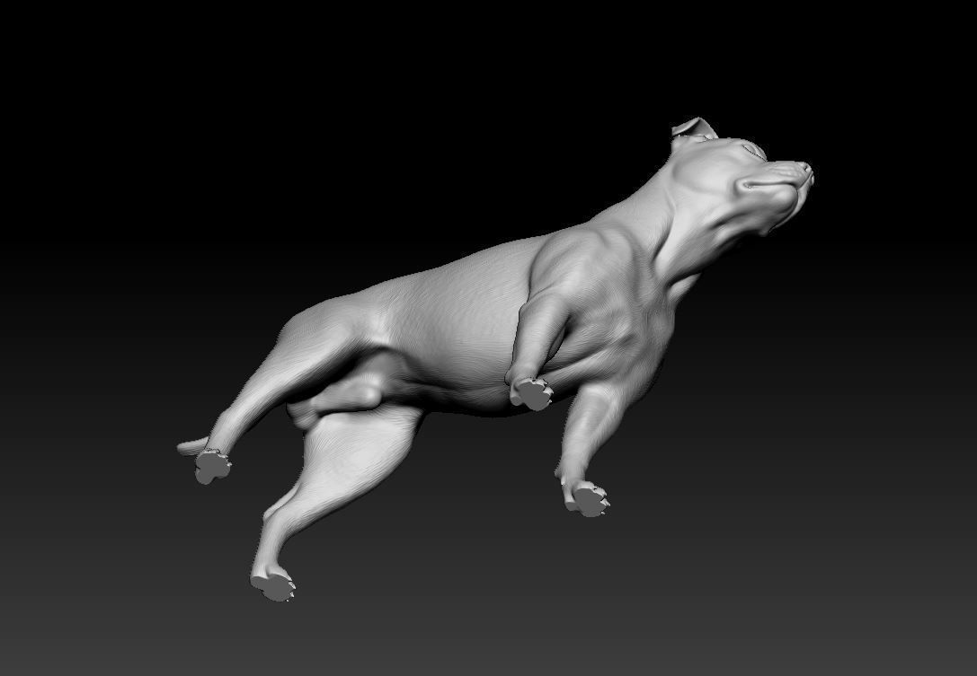 Pitbull dog 3D print model_6