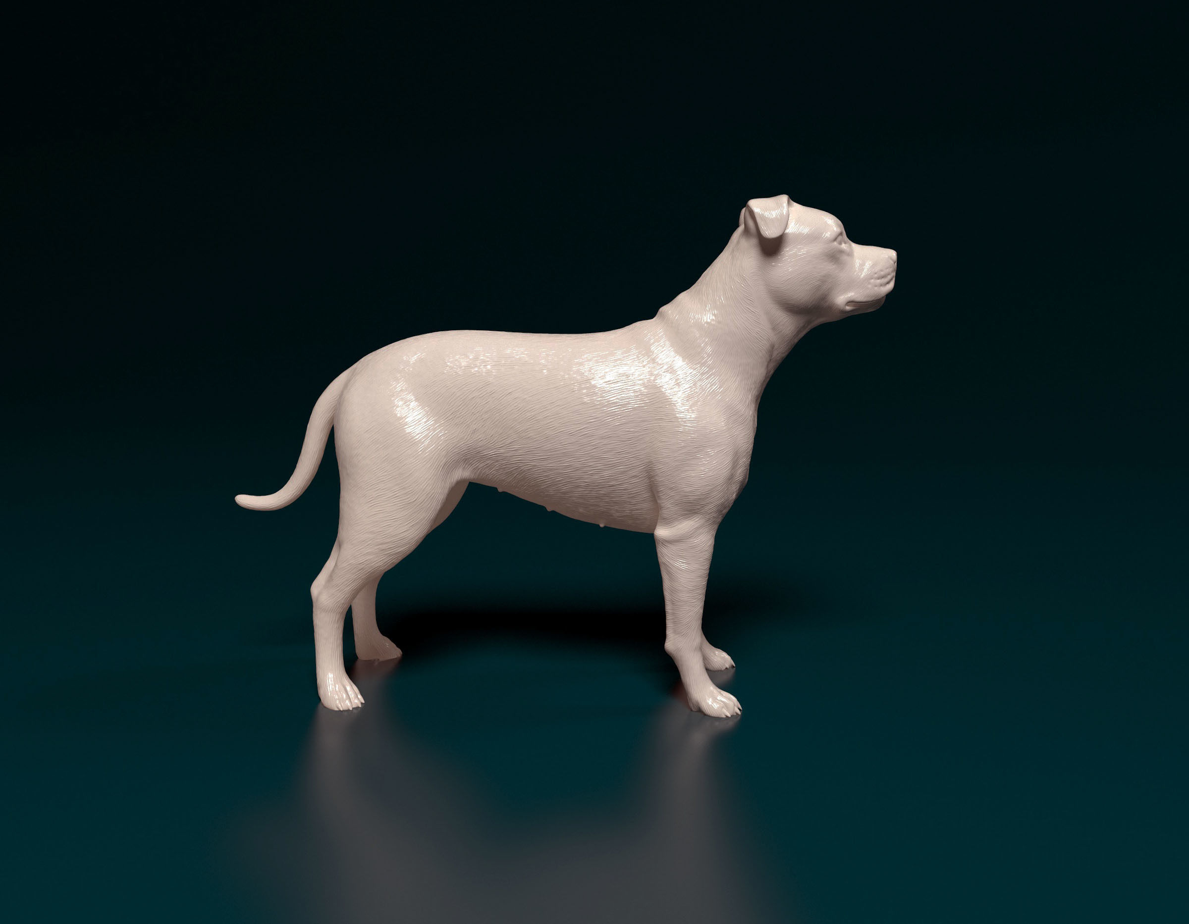 Pitbull dog 3D print model_1