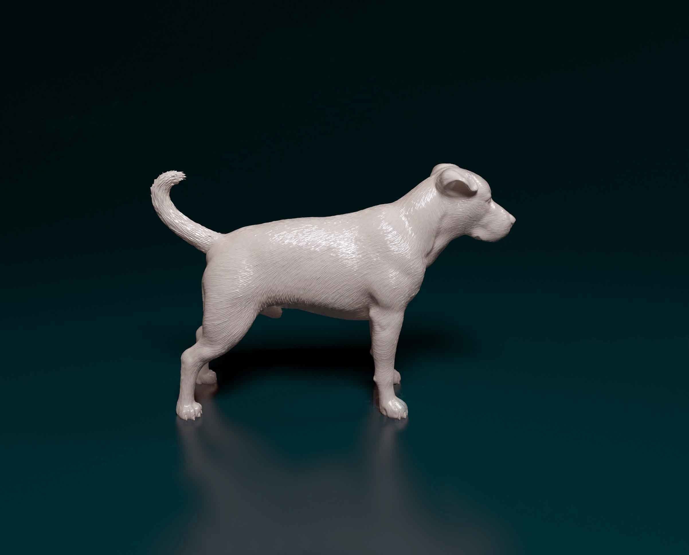 Pitbull terrier 3D print model_1