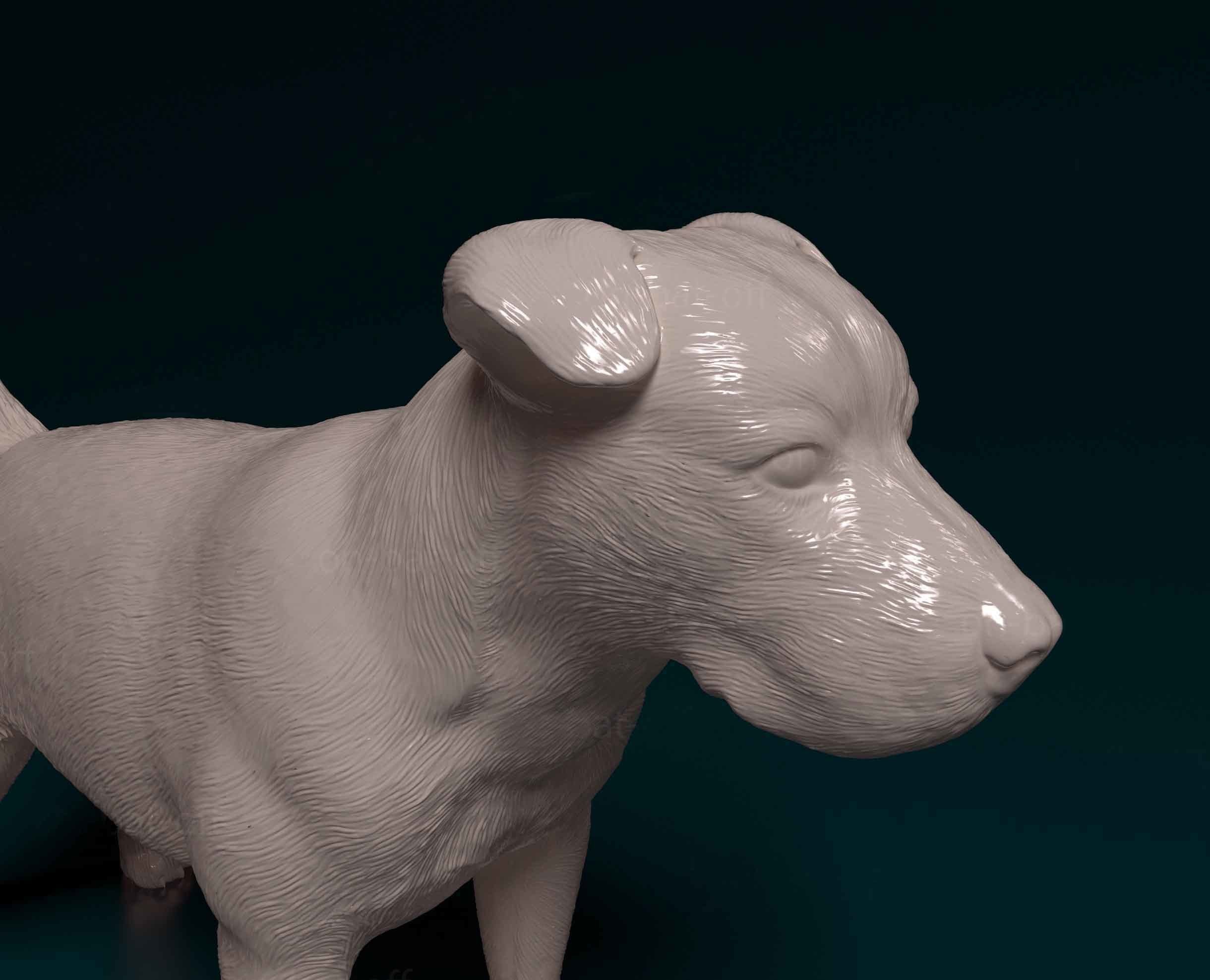 Pitbull terrier 3D print model_5