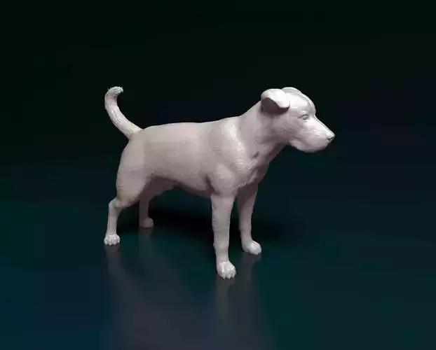 Pitbull terrier