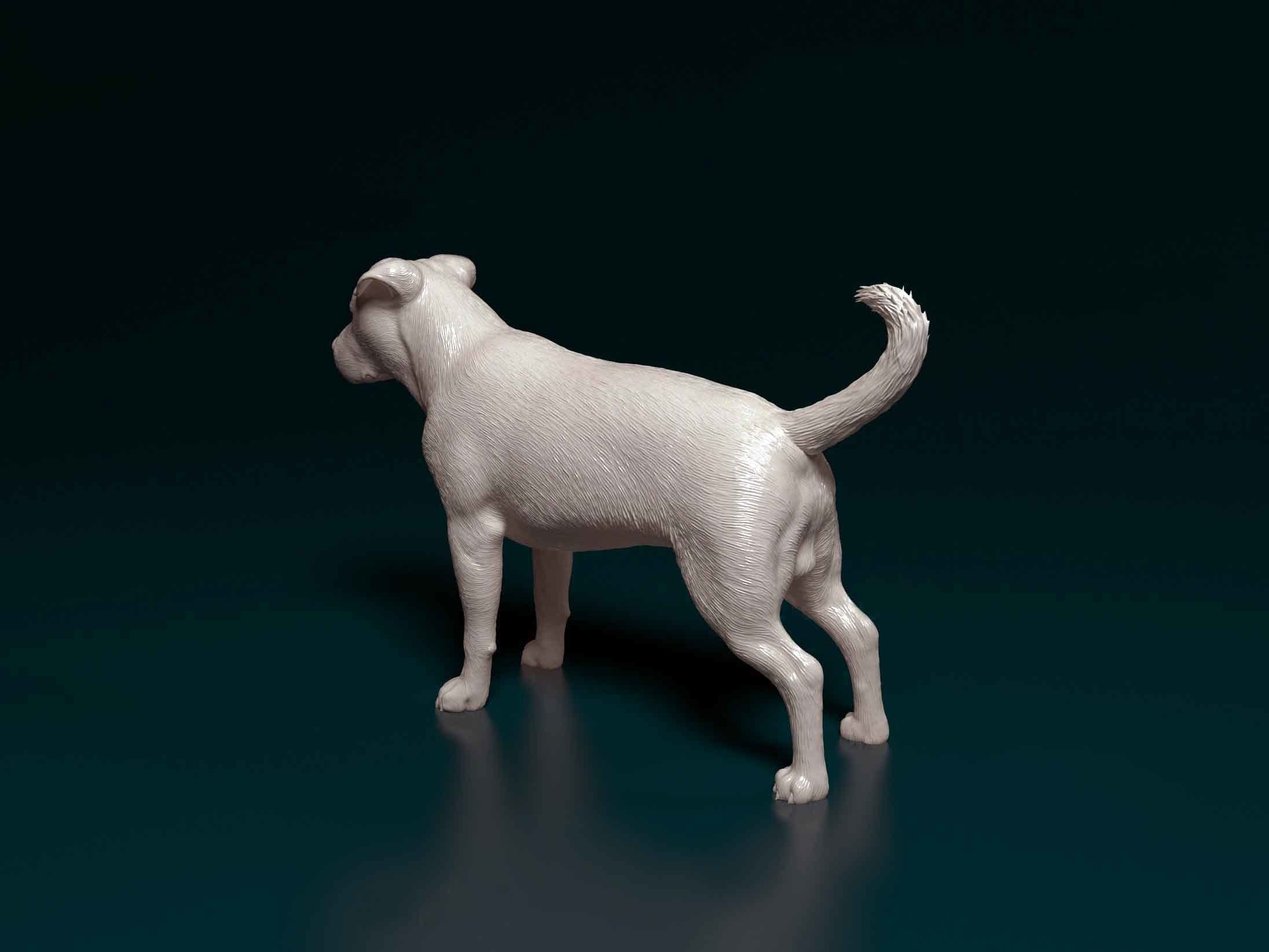 Pitbull terrier 3D print model_3