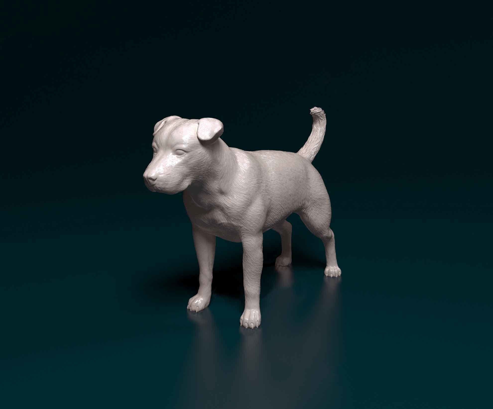 Pitbull terrier 3D print model_4