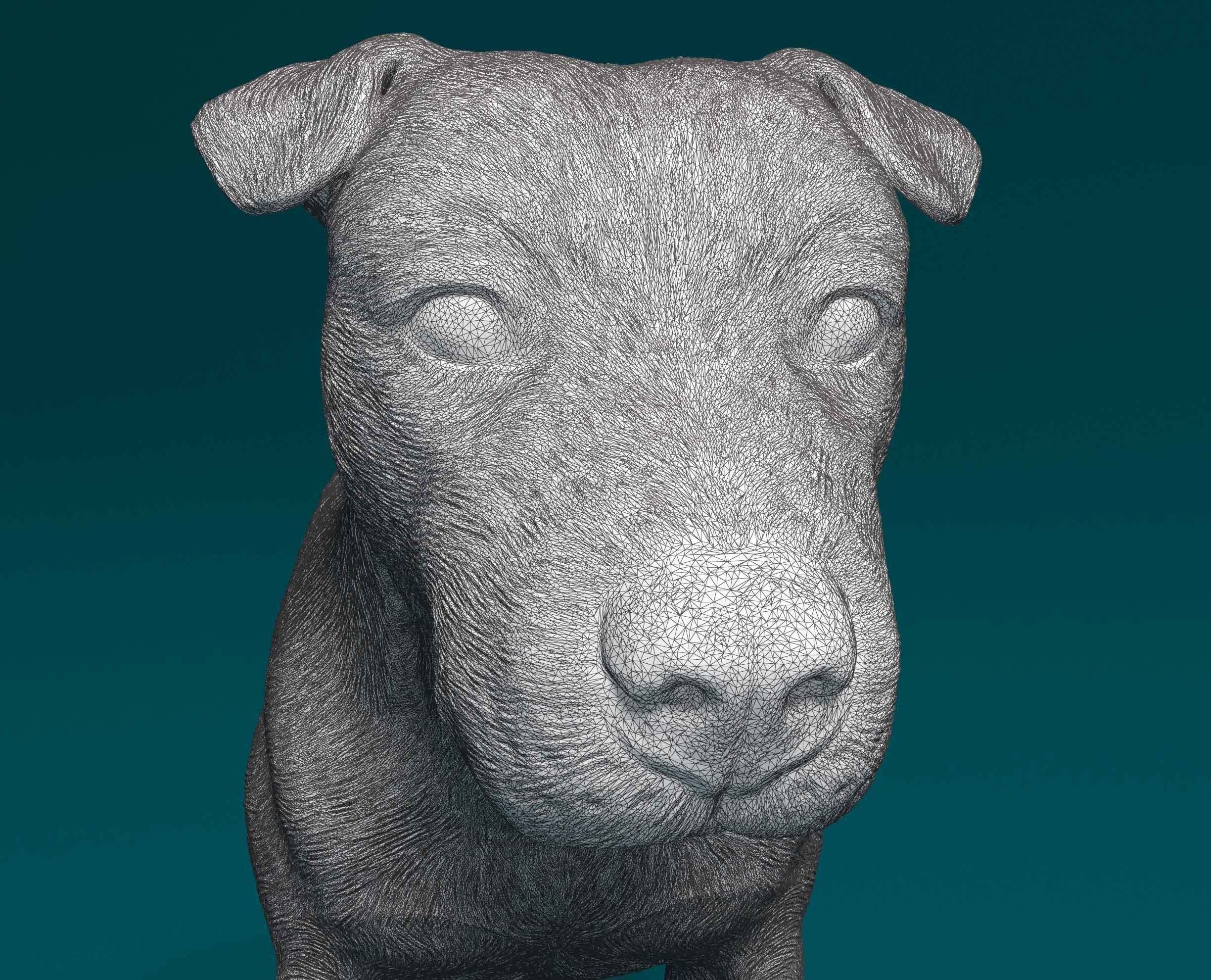 Pitbull terrier 3D print model_6