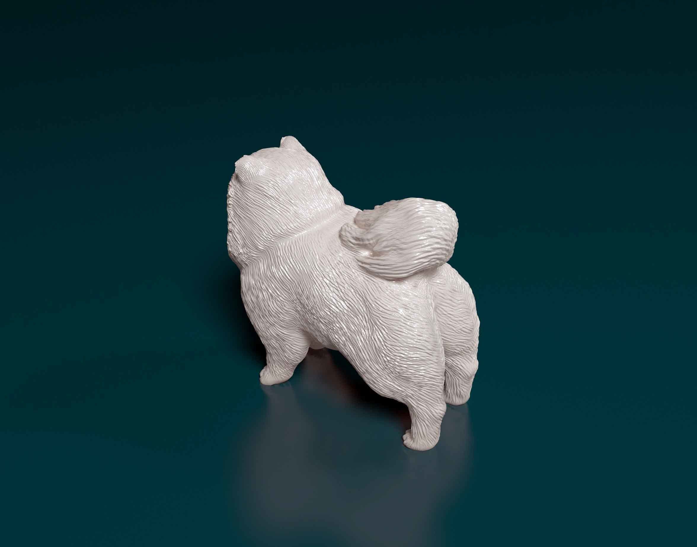 Pomeranian dog 3D print model_2