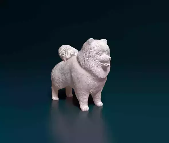 Pomeranian dog 3D print model