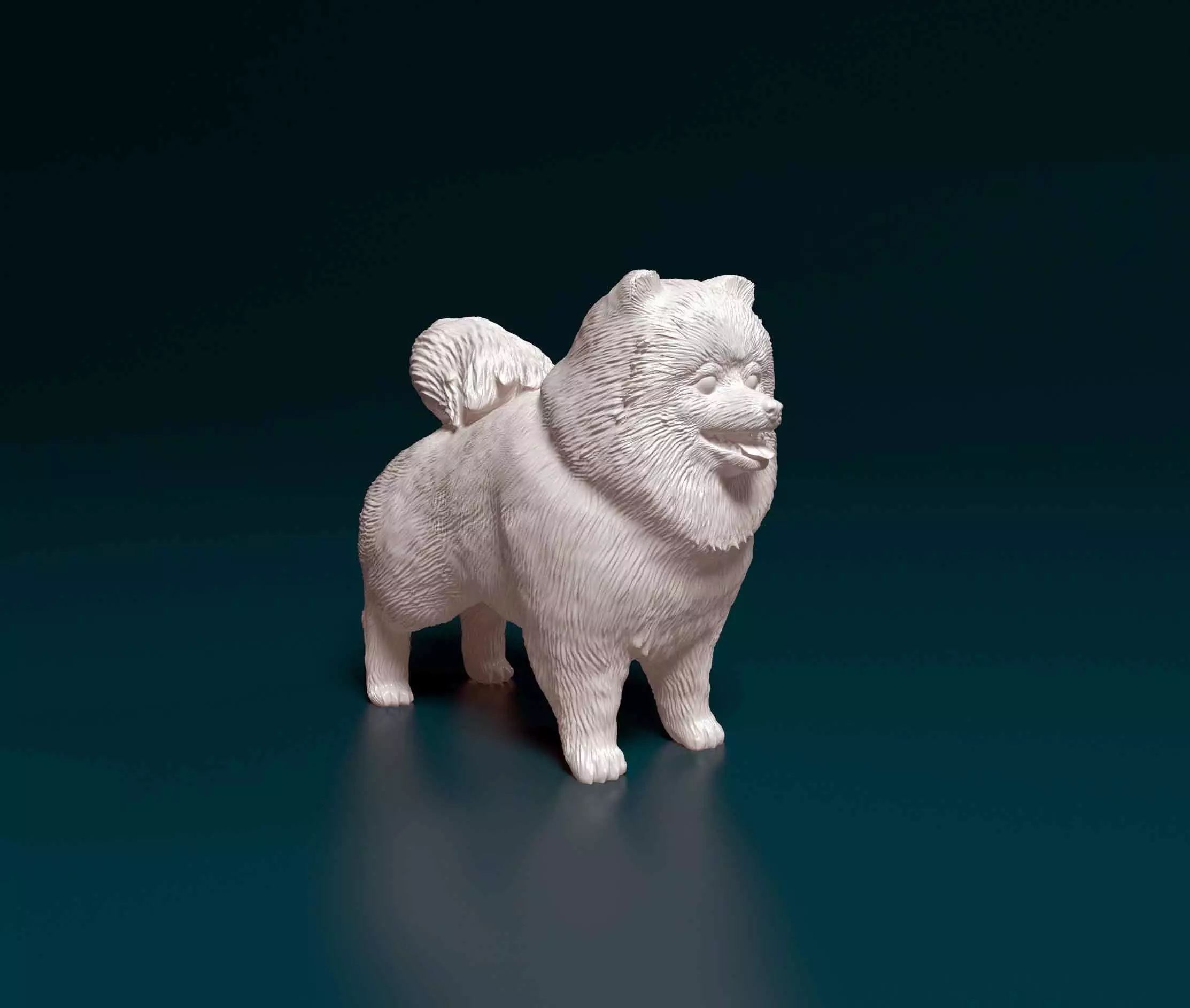 Pomeranian dog 3D print model_0