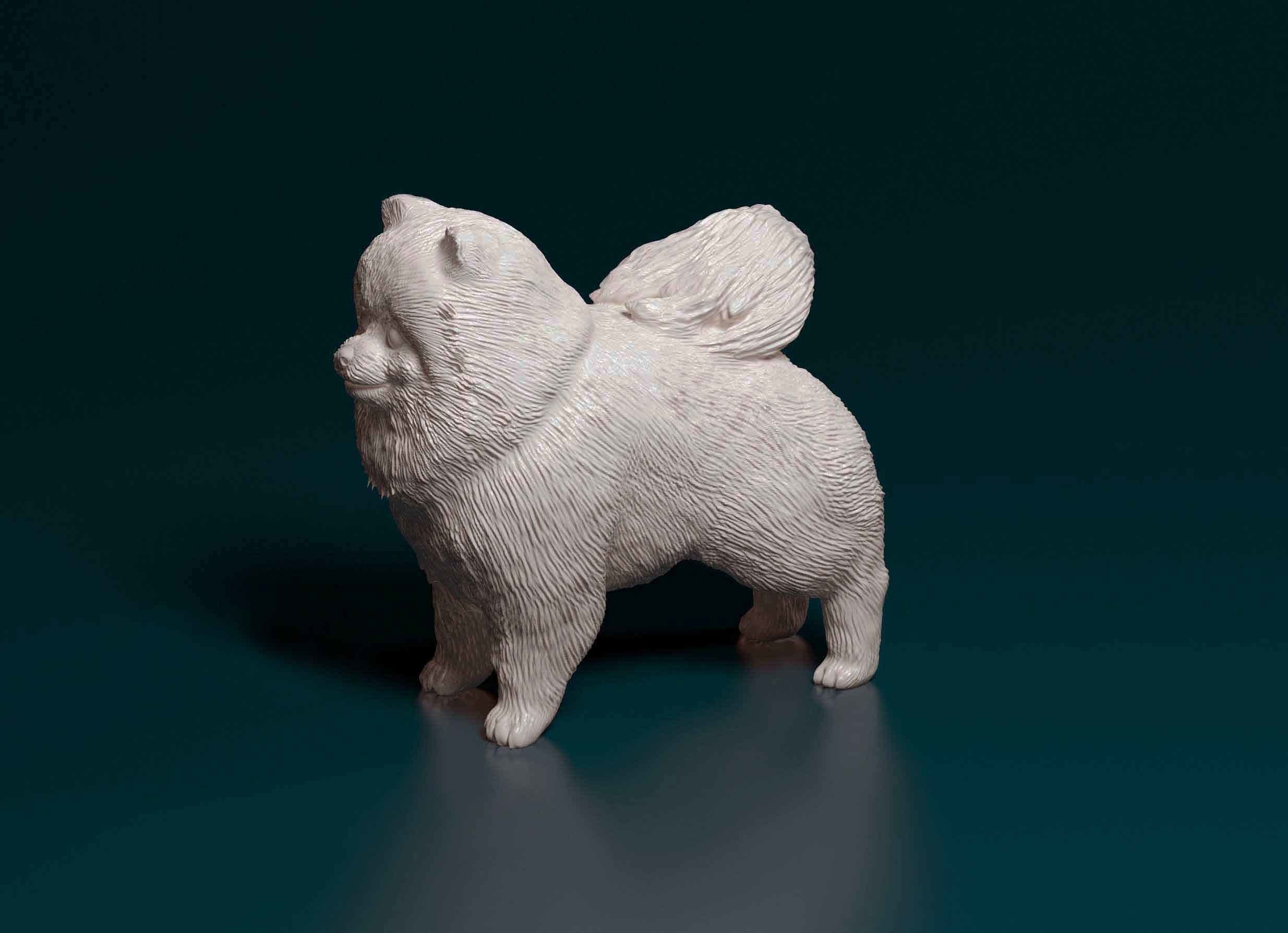 Pomeranian dog 3D print model_5