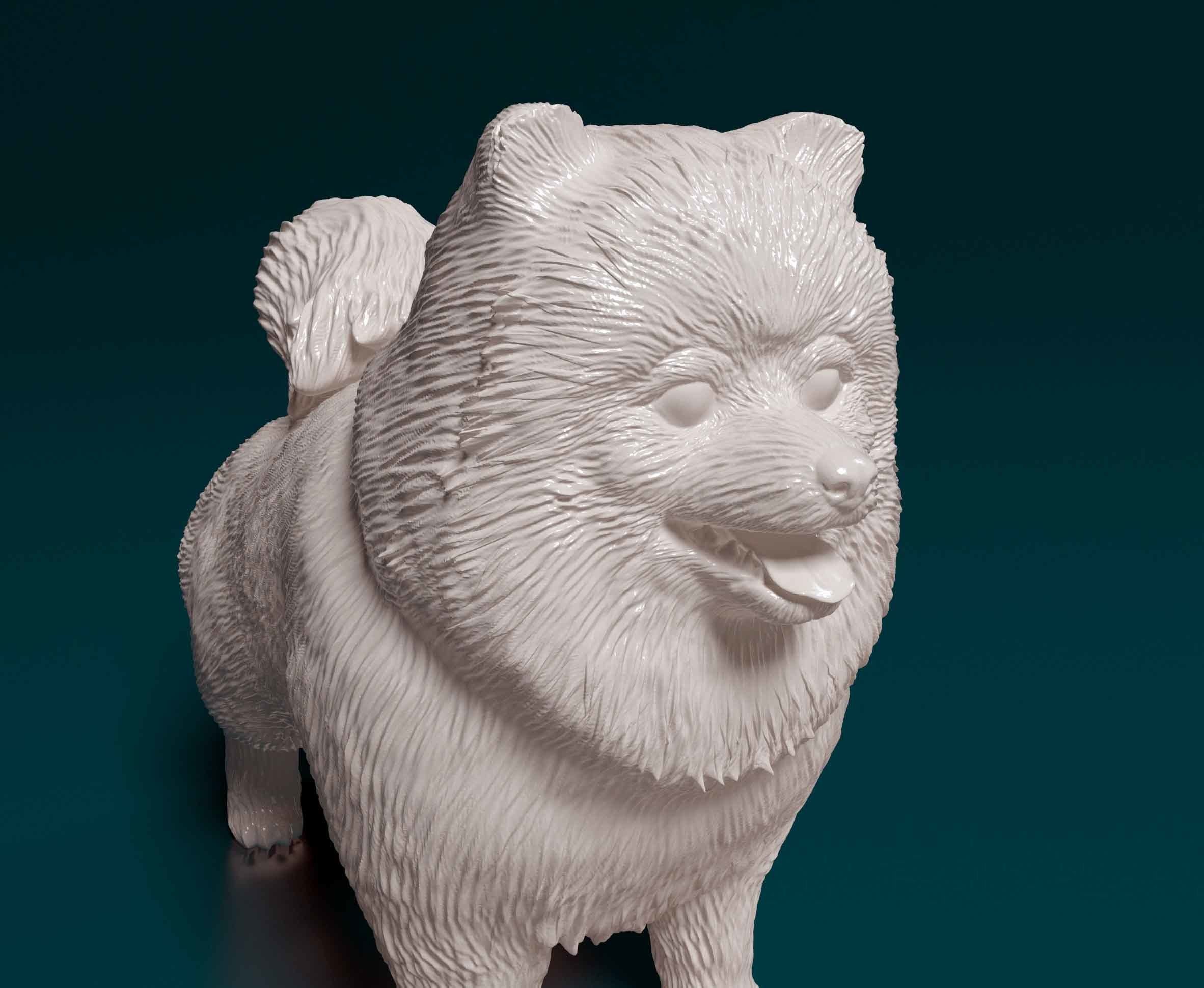 Pomeranian dog 3D print model_3