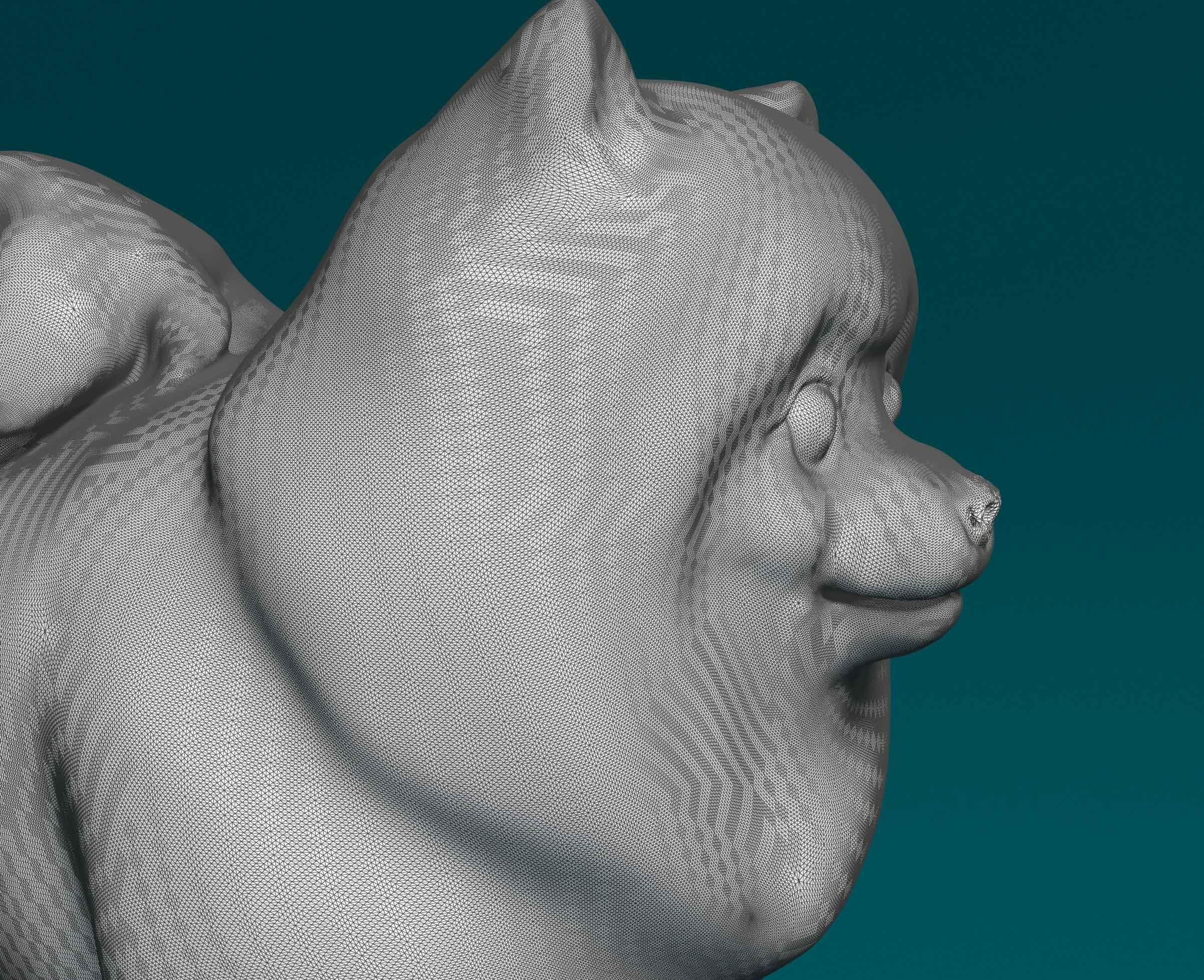 Pomeranian dog 3D print model_4