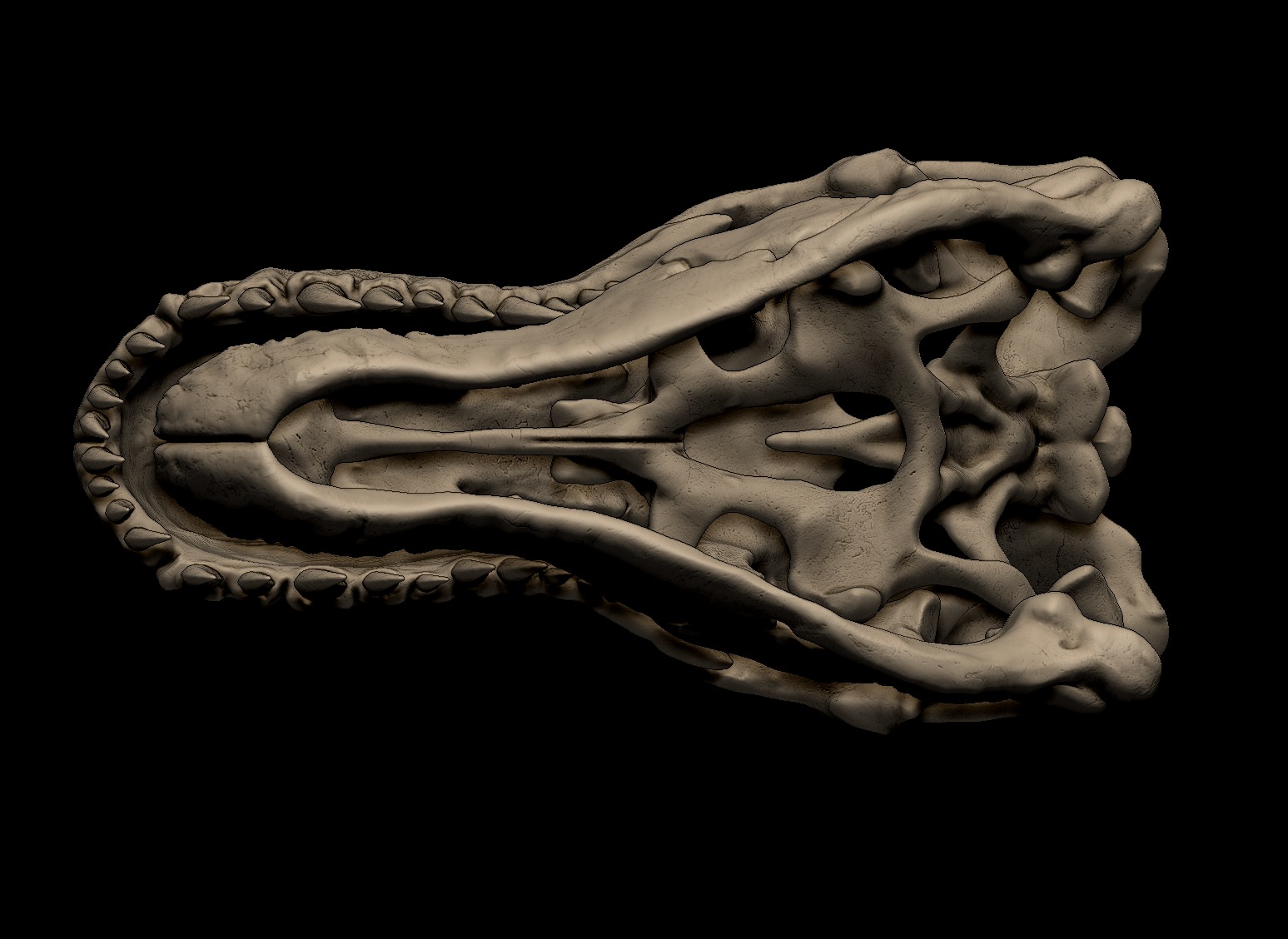 Tyrannosaurus Rex Skull 3D Print Model 3D print model_11