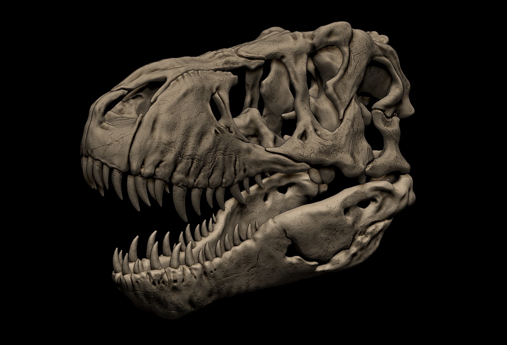 Tyrannosaurus Rex Skull 3D Print Model 3D print model_3