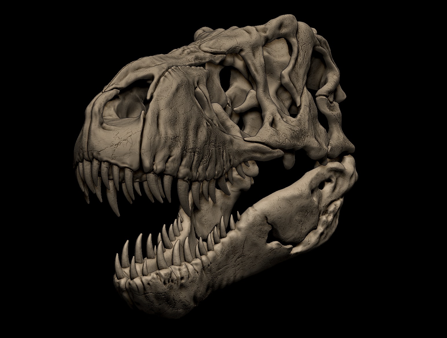 Tyrannosaurus Rex Skull 3D Print Model 3D print model_8