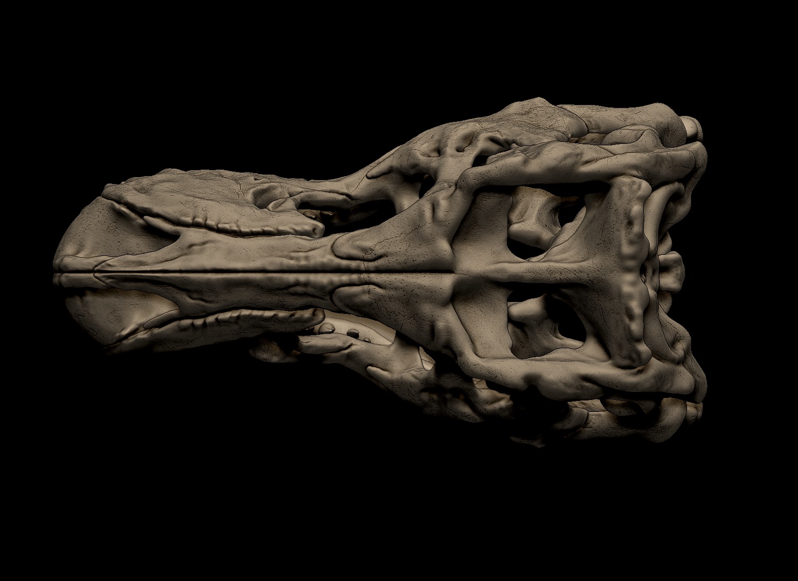 Tyrannosaurus Rex Skull 3D Print Model 3D print model_10