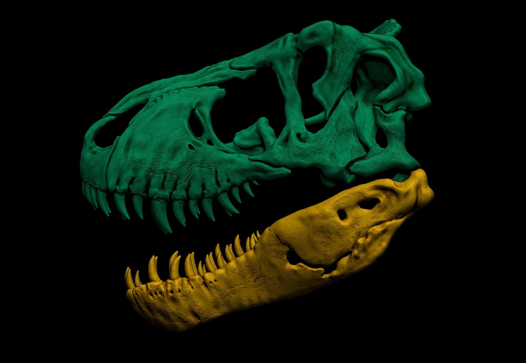 Tyrannosaurus Rex Skull 3D Print Model 3D print model_12
