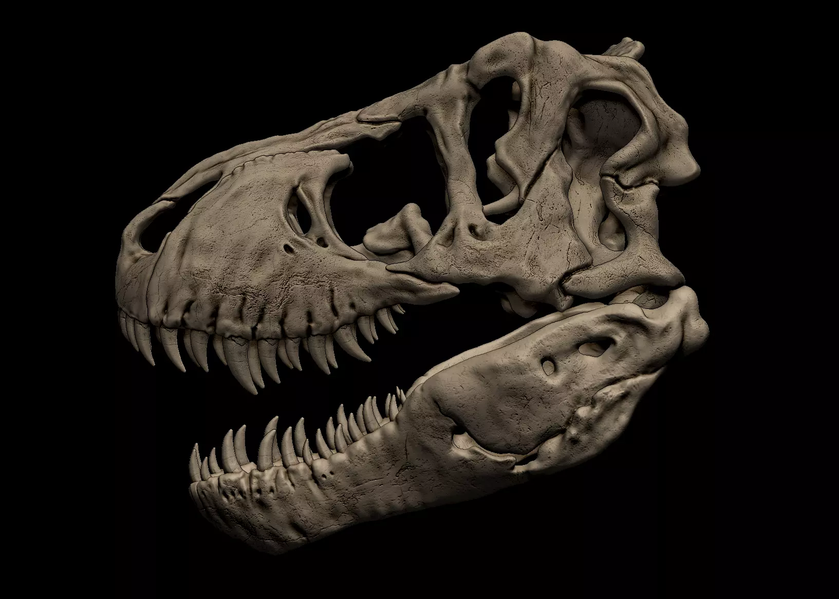 Tyrannosaurus Rex Skull 3D Print Model 3D print model_0
