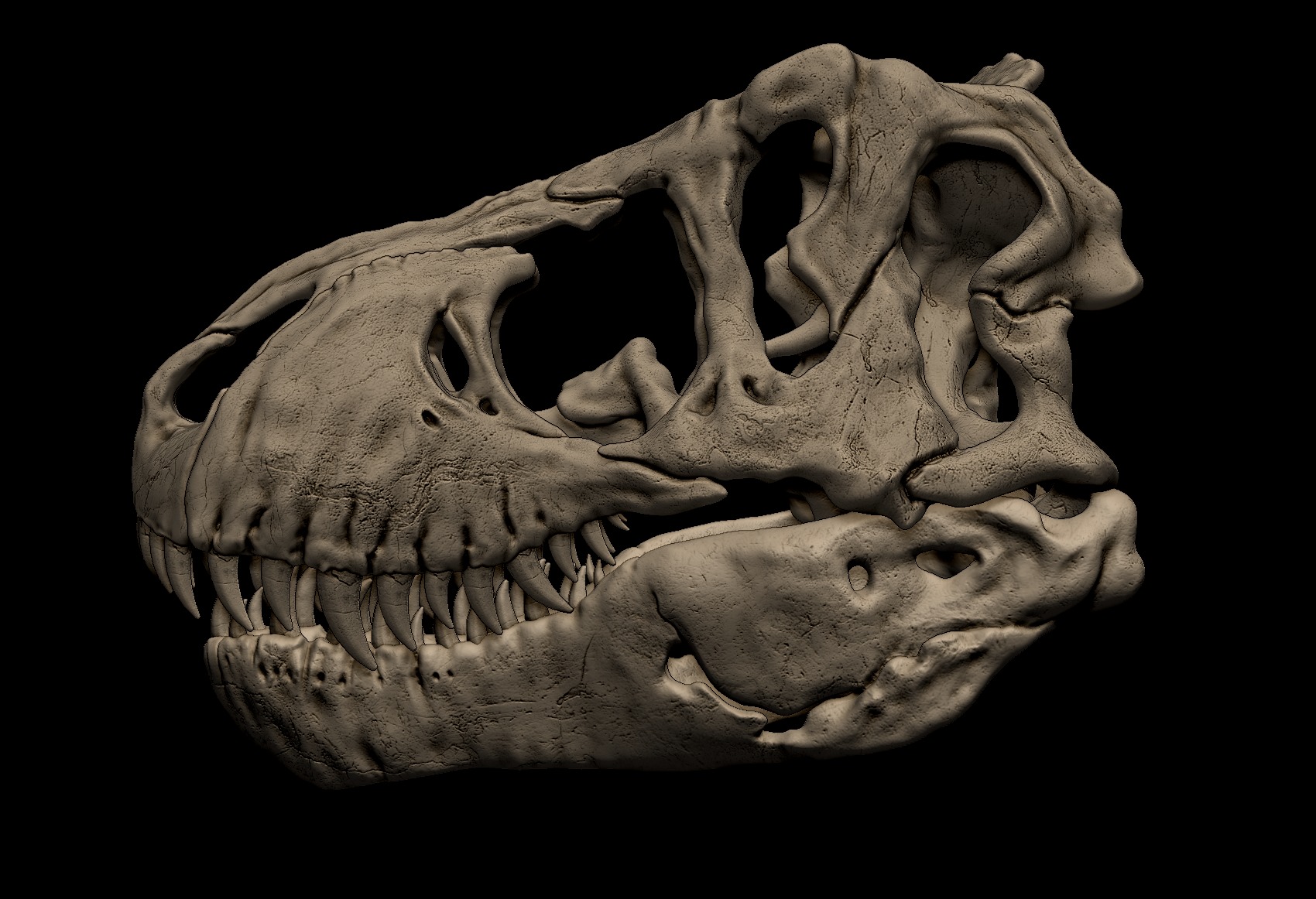 Tyrannosaurus Rex Skull 3D Print Model 3D print model_2