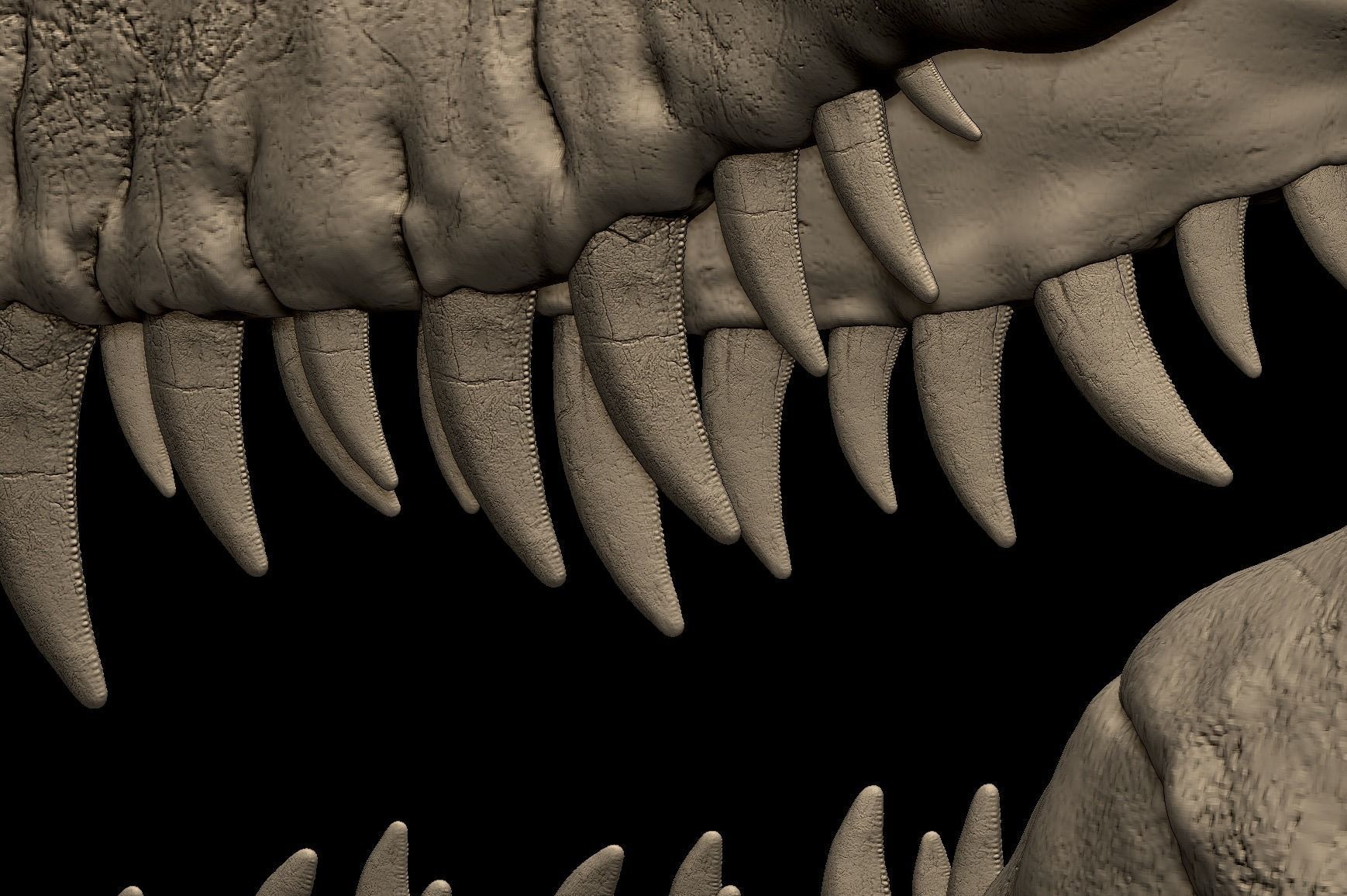 Tyrannosaurus Rex Skull 3D Print Model 3D print model_6