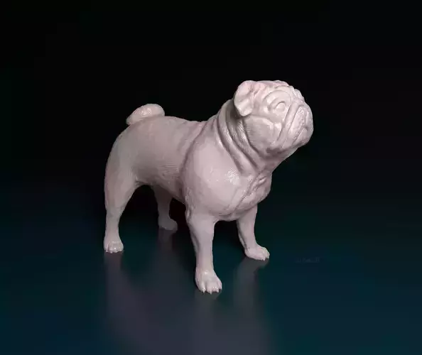 Pug dog 3D print model