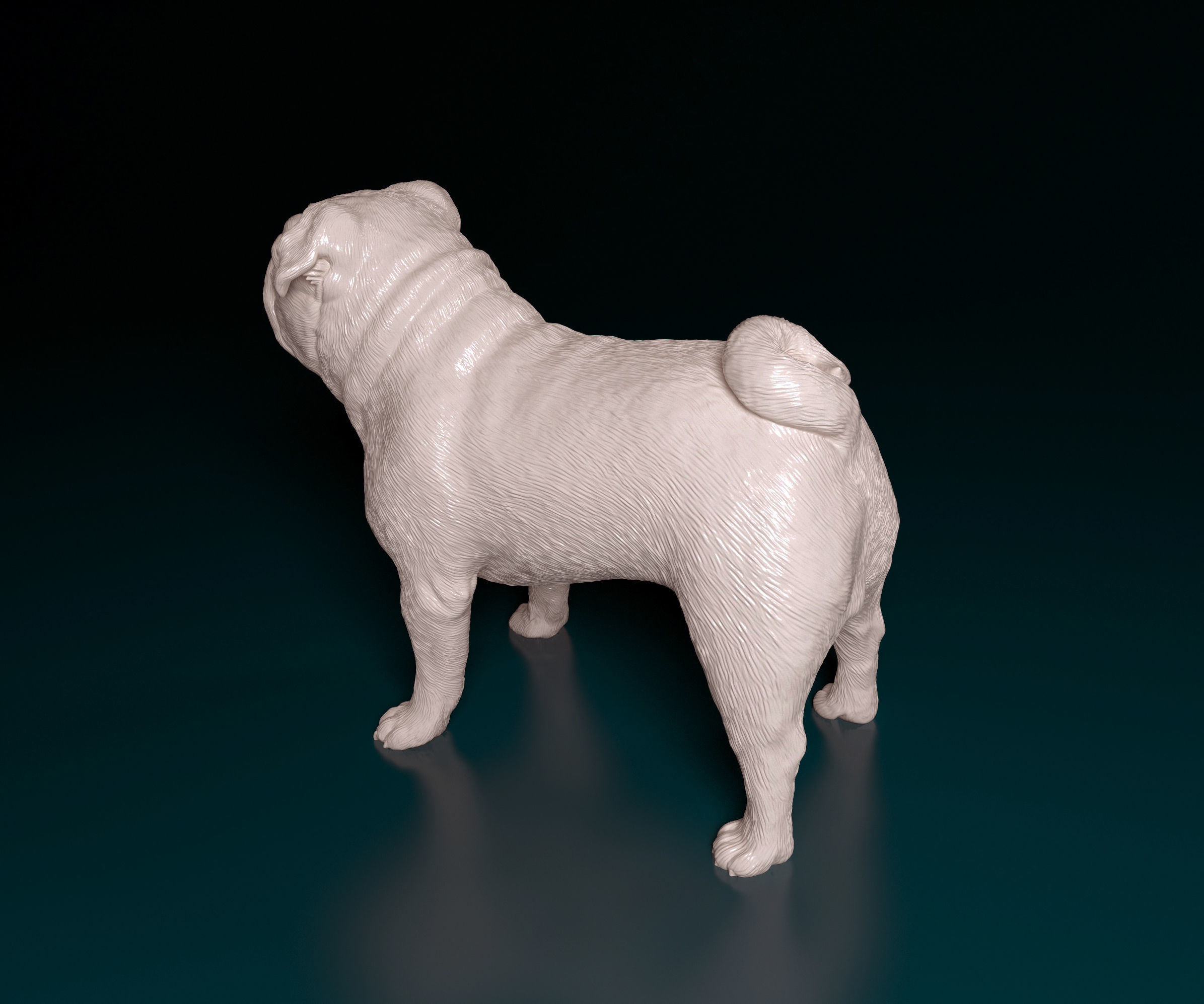 Pug dog 3D print model_4
