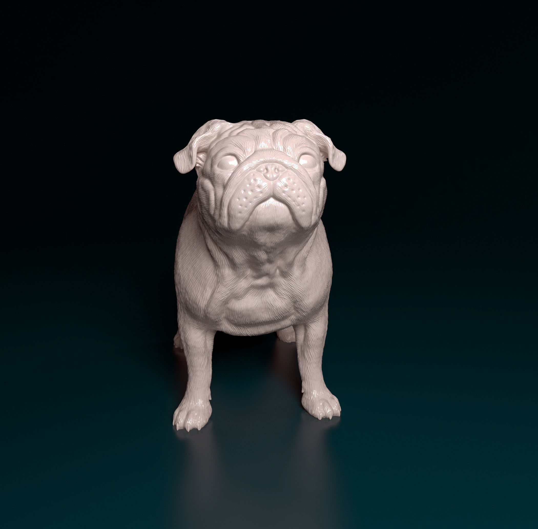 Pug dog 3D print model_1