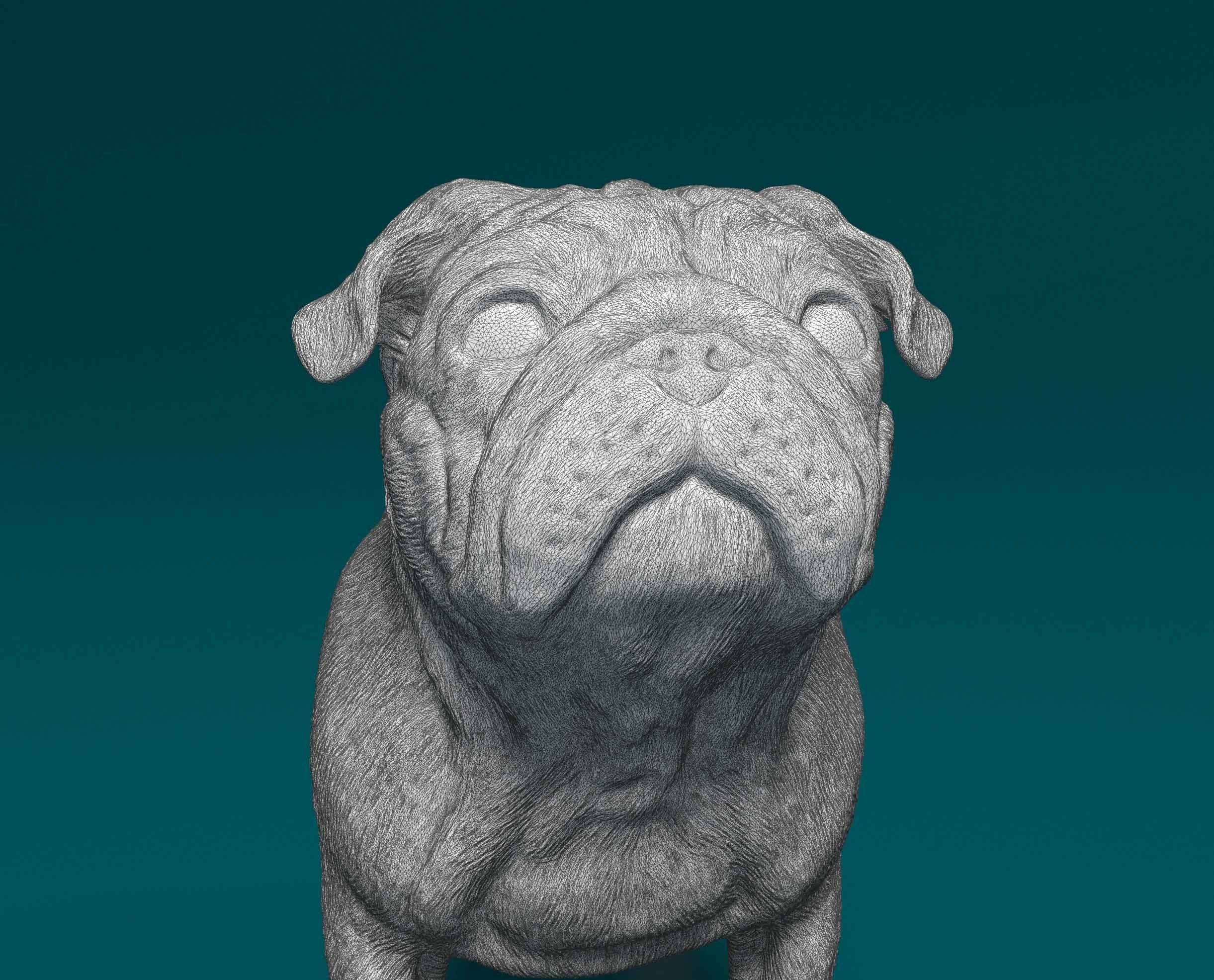 Pug dog 3D print model_8