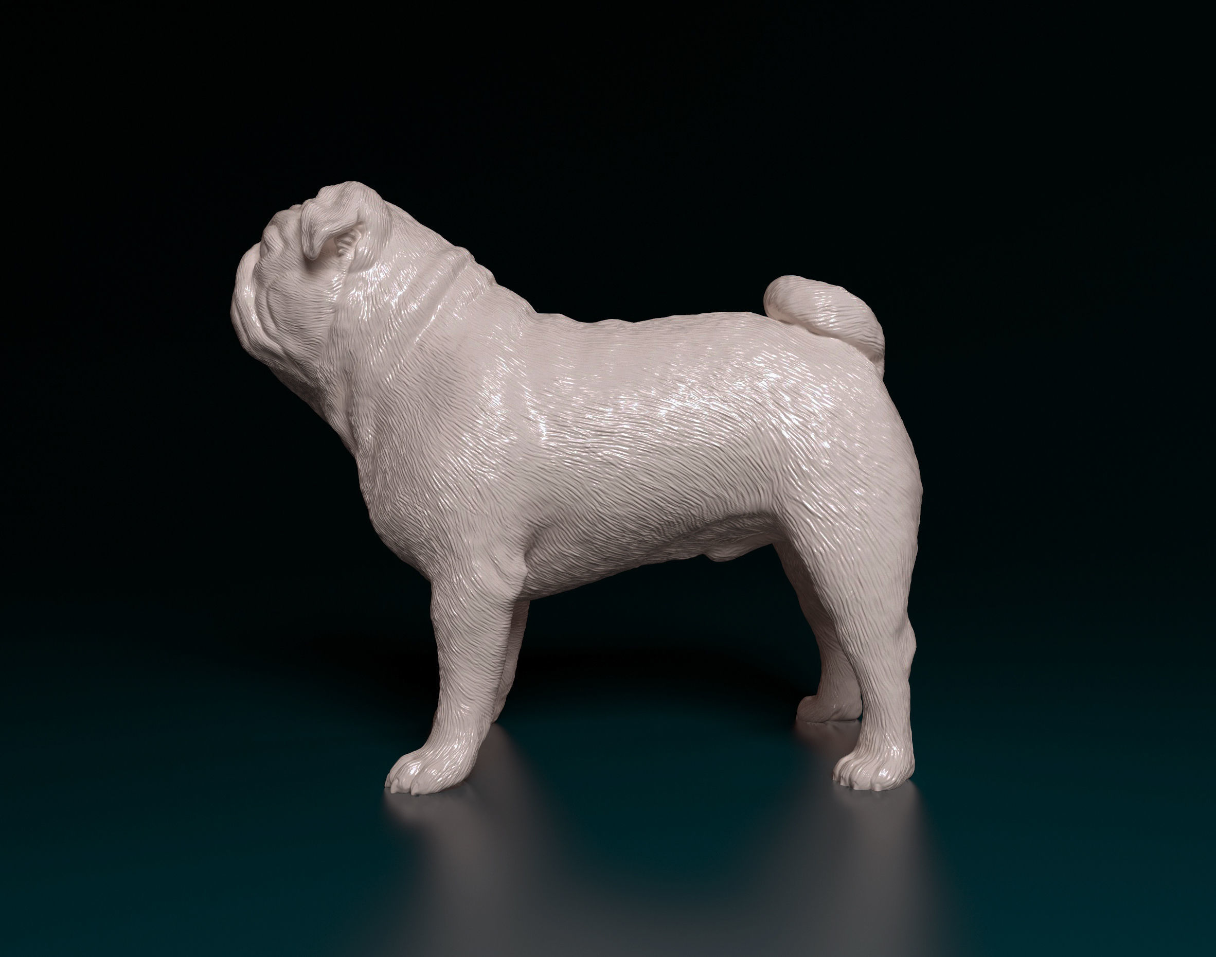 Pug dog 3D print model_5