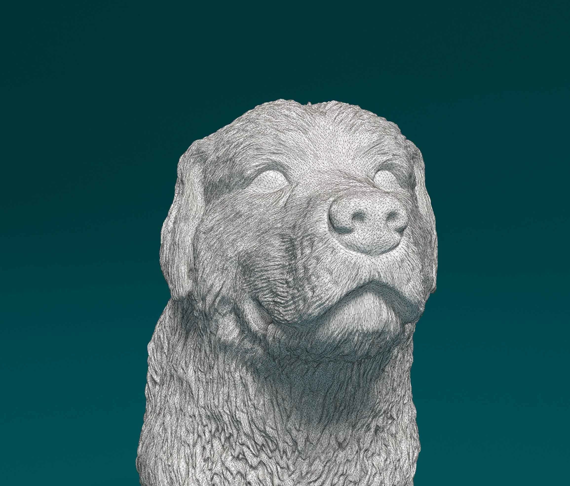 Pyrenean Mountain dog 3D print model_9