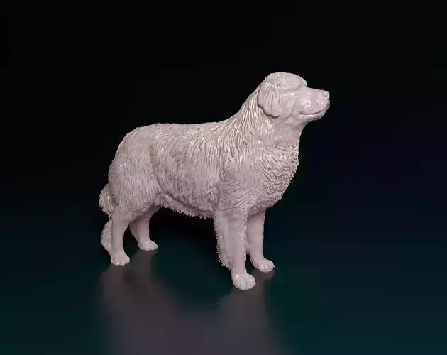 Pyrenean Mountain dog 3D print model