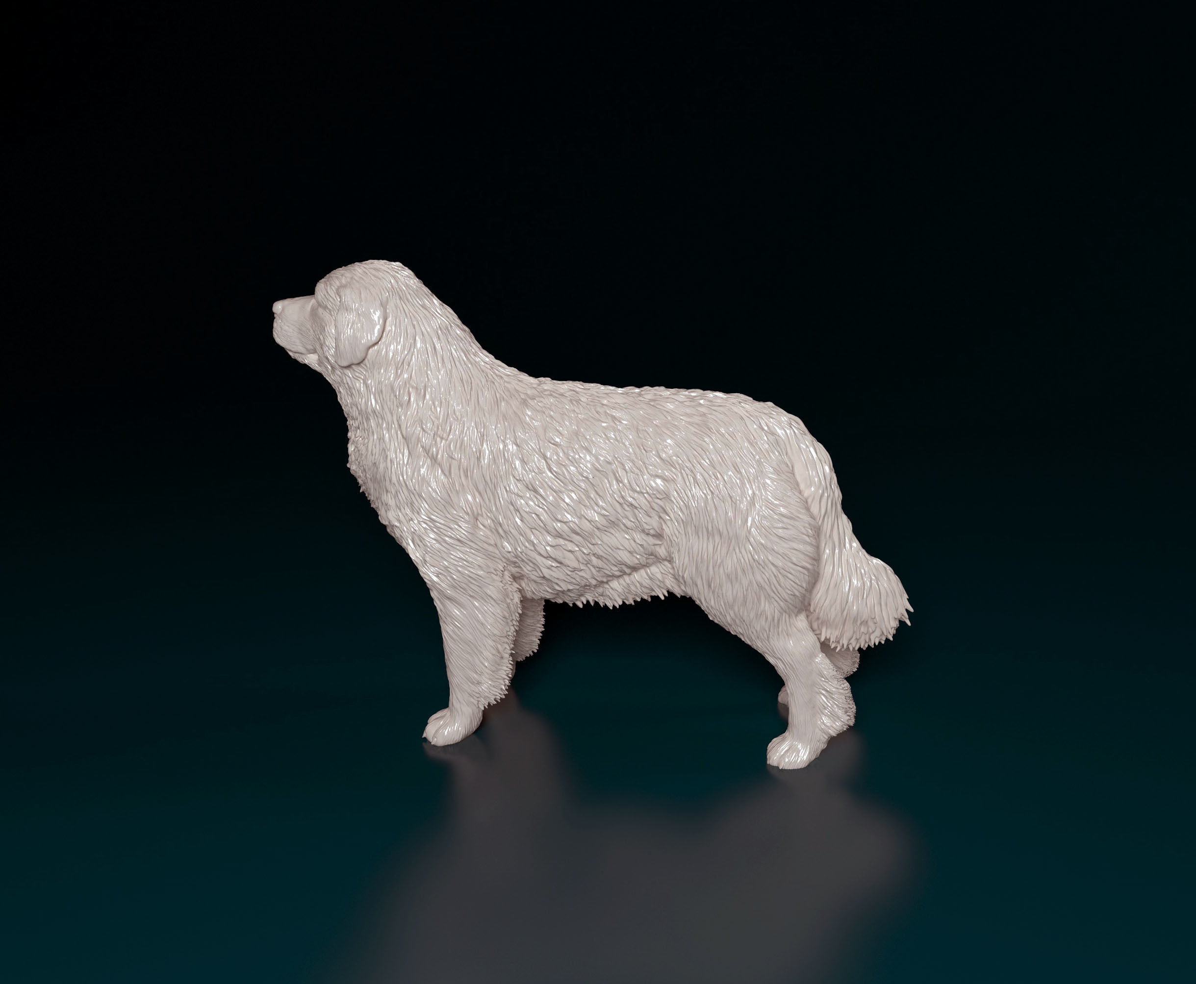 Pyrenean Mountain dog 3D print model_5