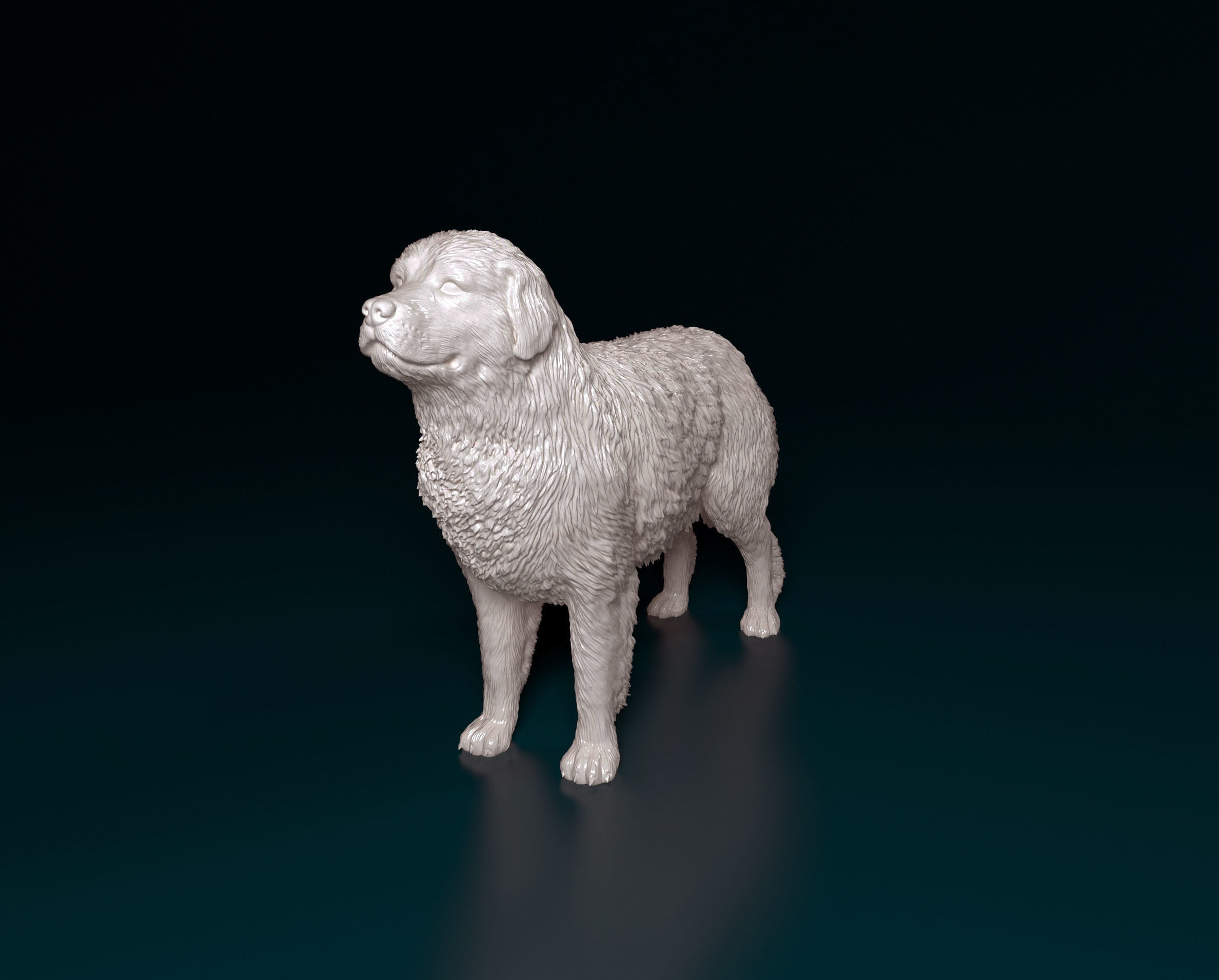 Pyrenean Mountain dog 3D print model_6
