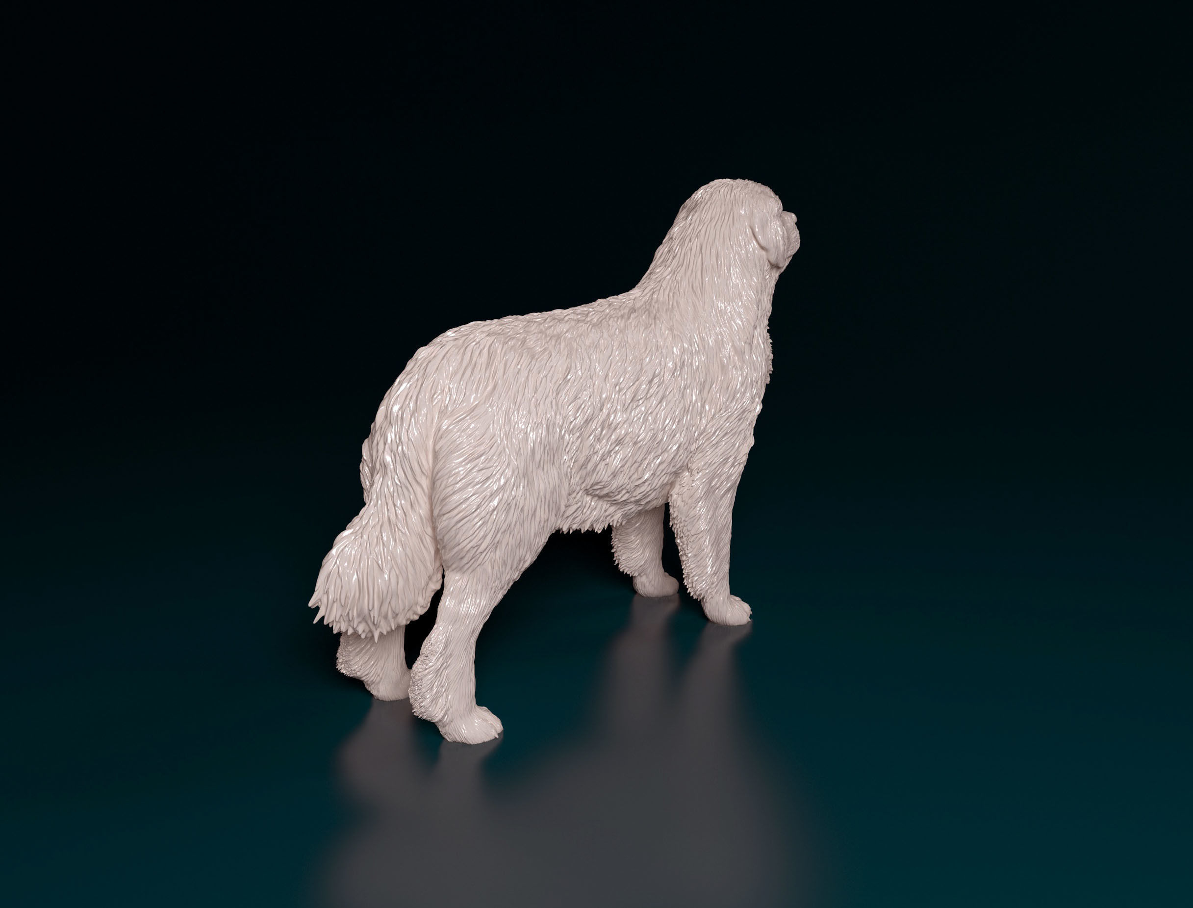 Pyrenean Mountain dog 3D print model_2