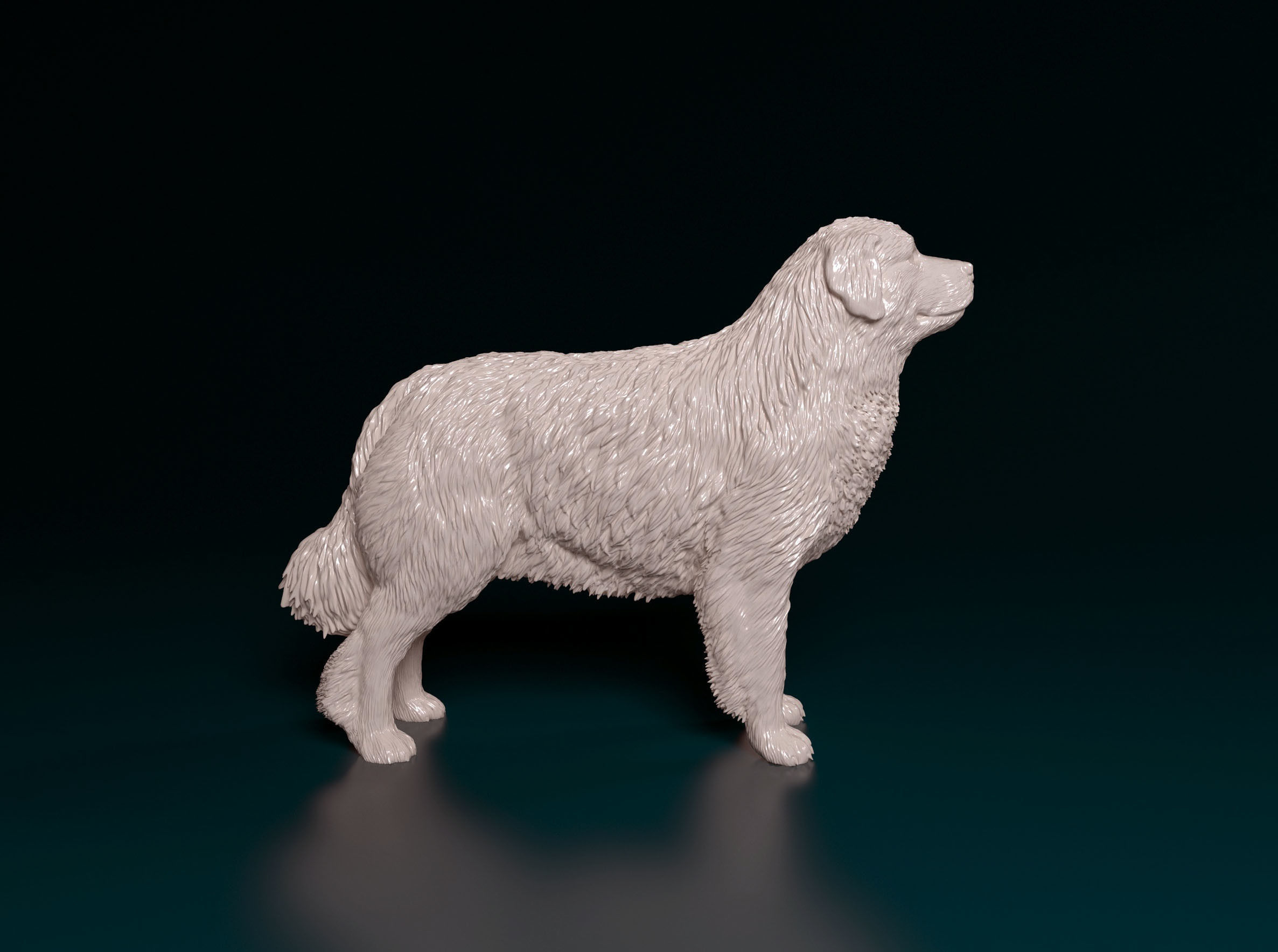 Pyrenean Mountain dog 3D print model_1