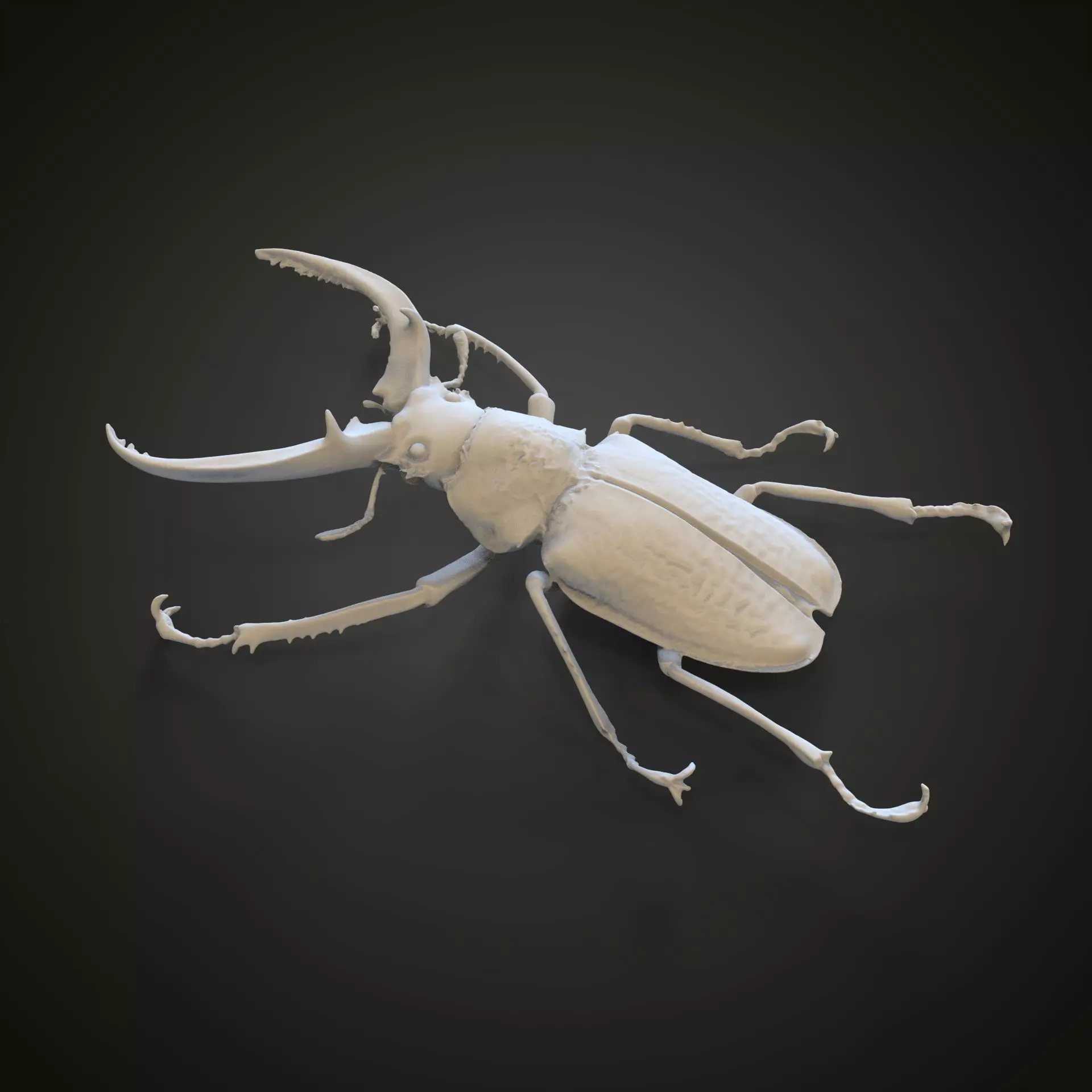 Stag beetle 3D print model