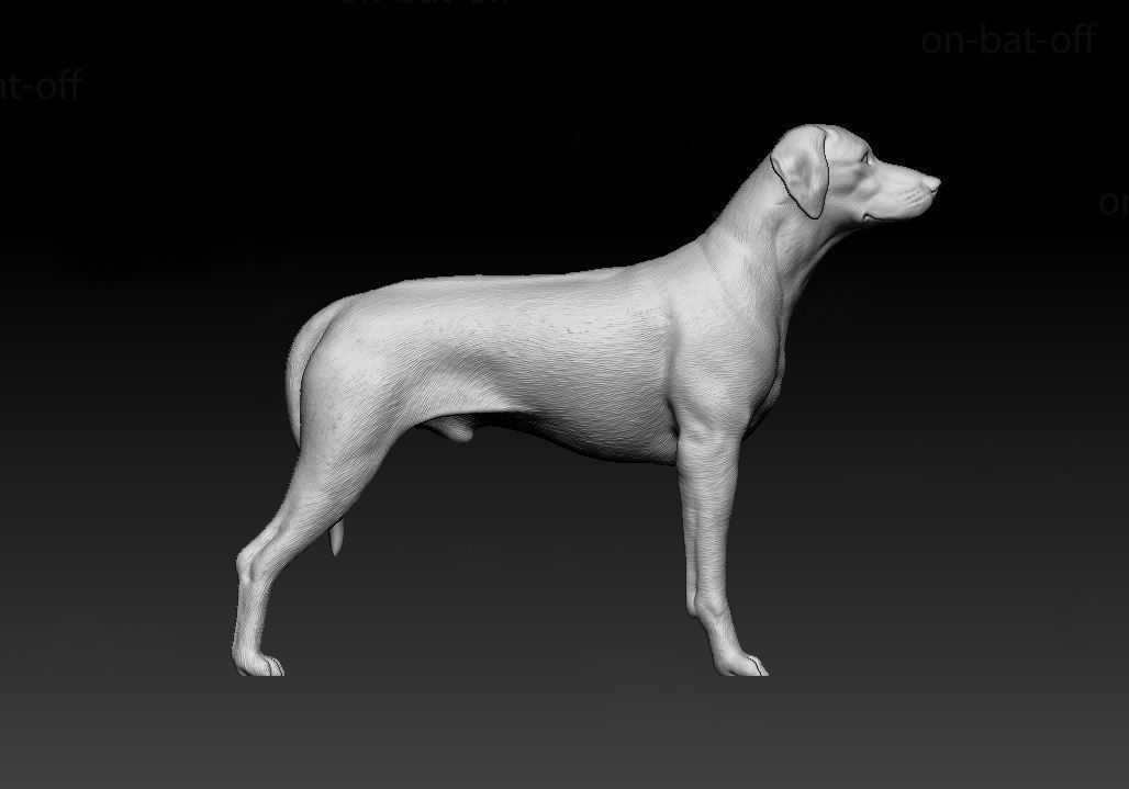 Rhodesian Ridgeback 3D model 3D printable | CGTrader