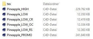 Baby Mini Pineapple 3D model_11