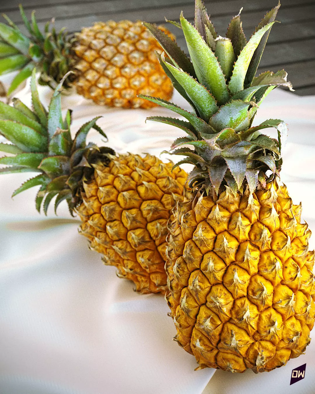 Baby Mini Pineapple 3D model_0