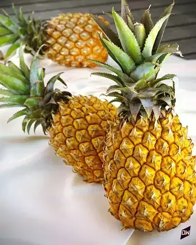 Baby Mini Pineapple 3D model