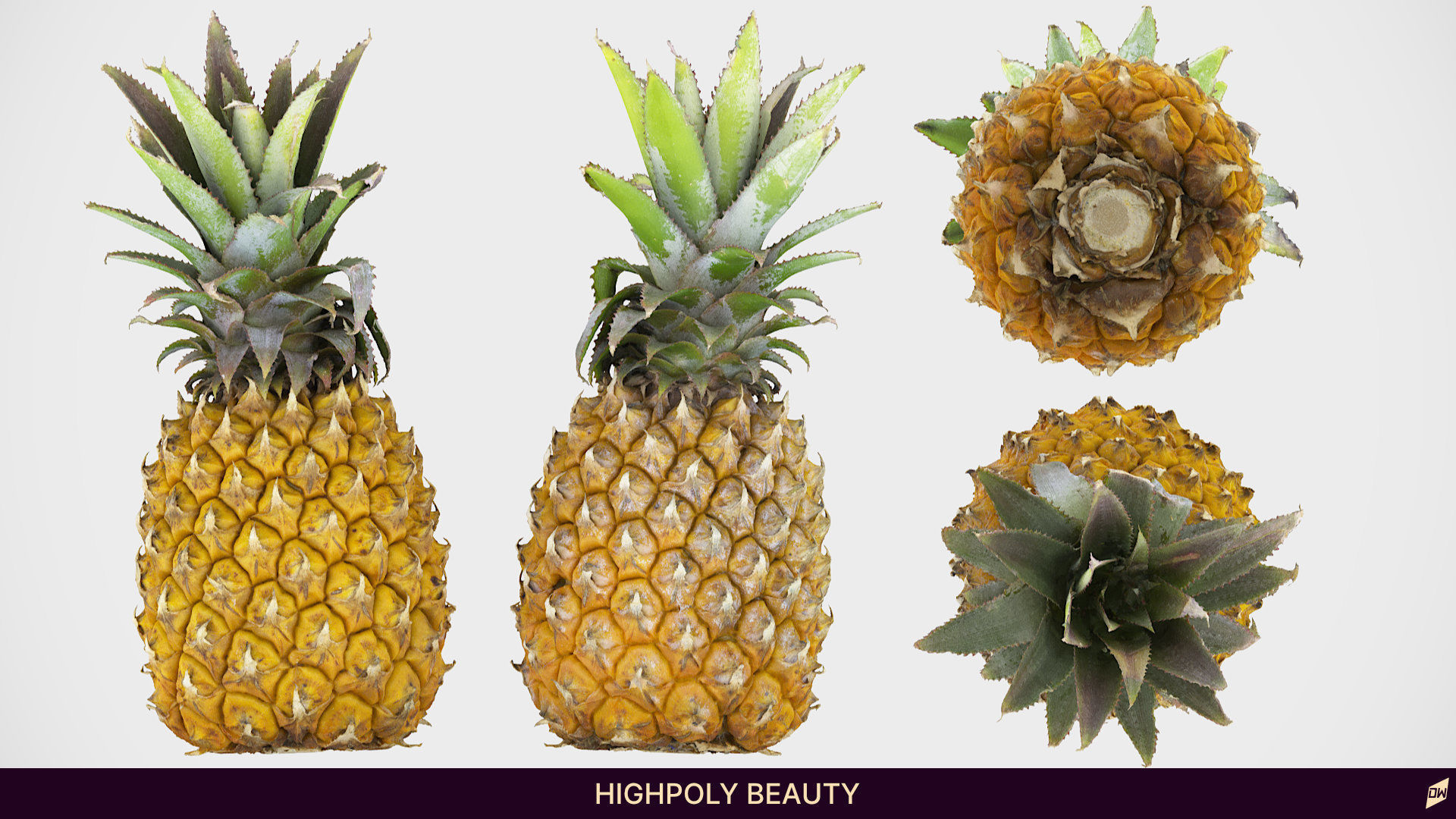 Baby Mini Pineapple 3D model_3